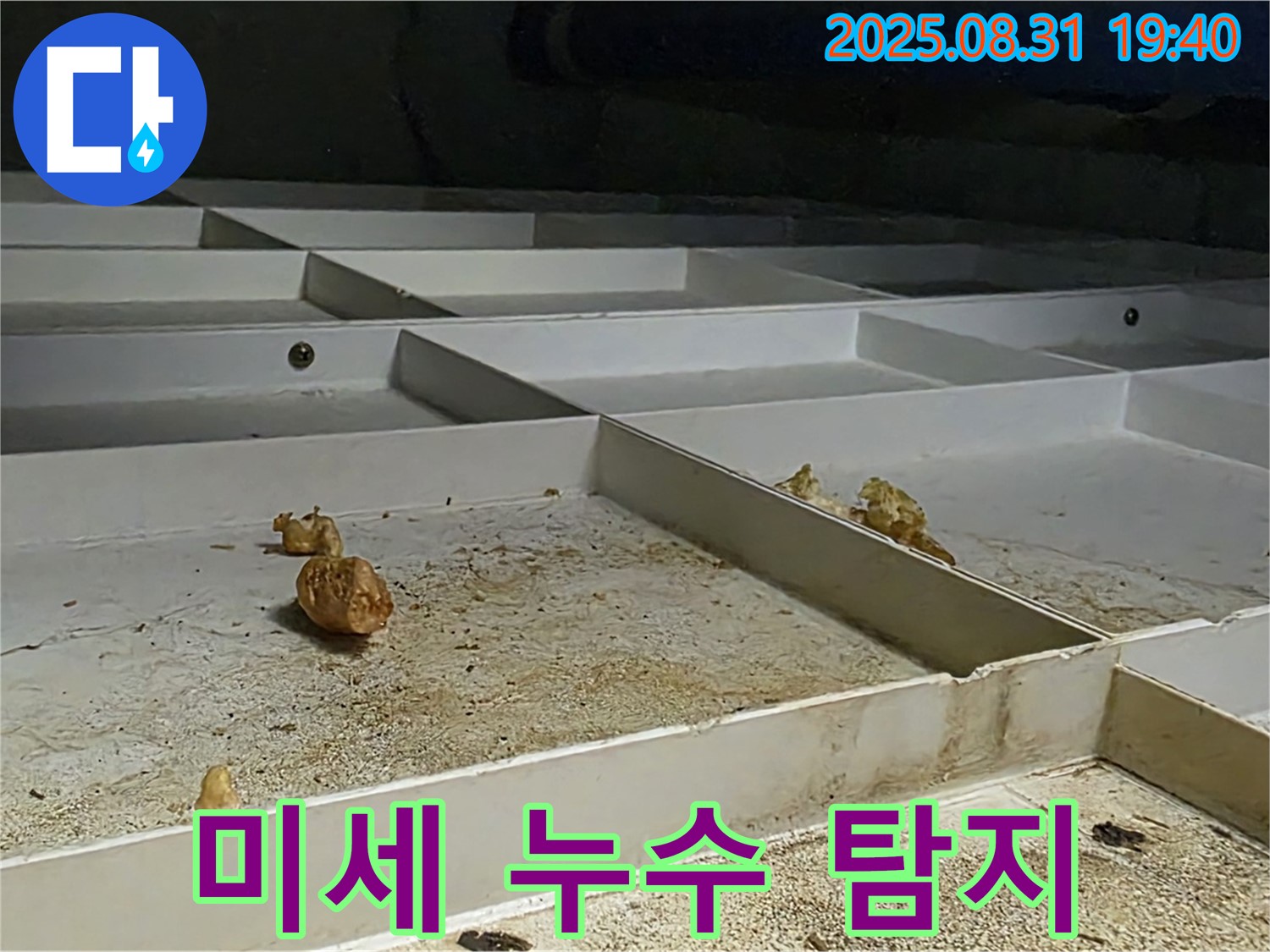 분당 산운로 누수 - 천장 배관 누수, 미세 누수, 전문 장비로 정확히 탐지