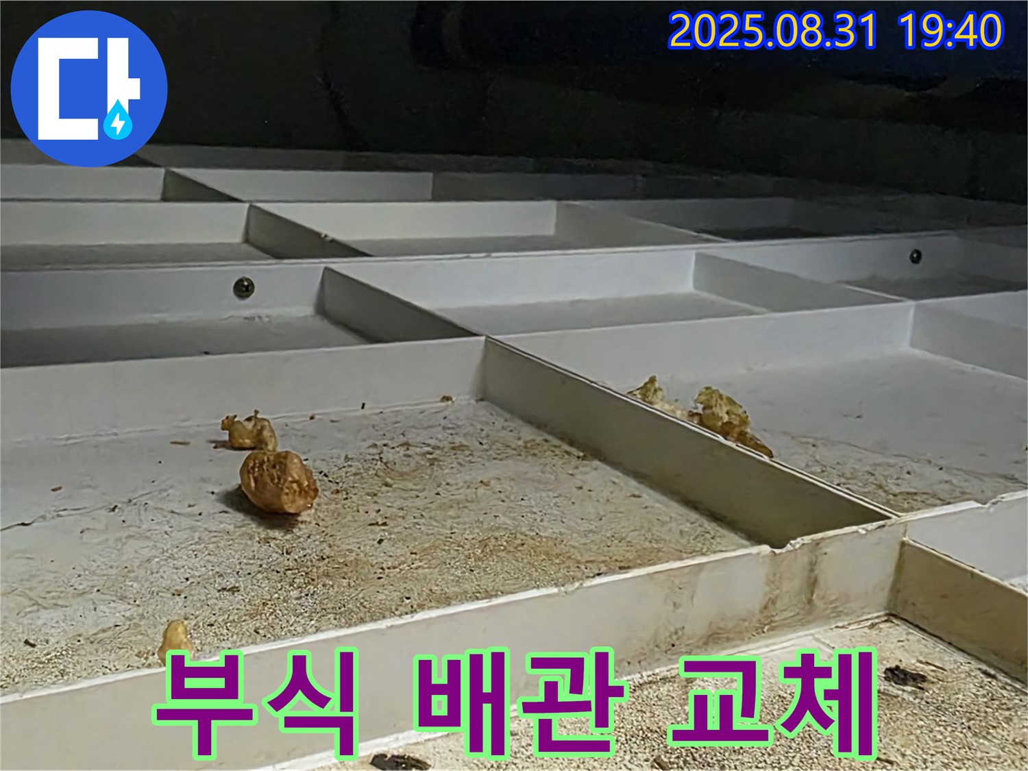 분당 산운로 누수 - 천장 배관 누수, 부식된 배관 교체로 누수 해결