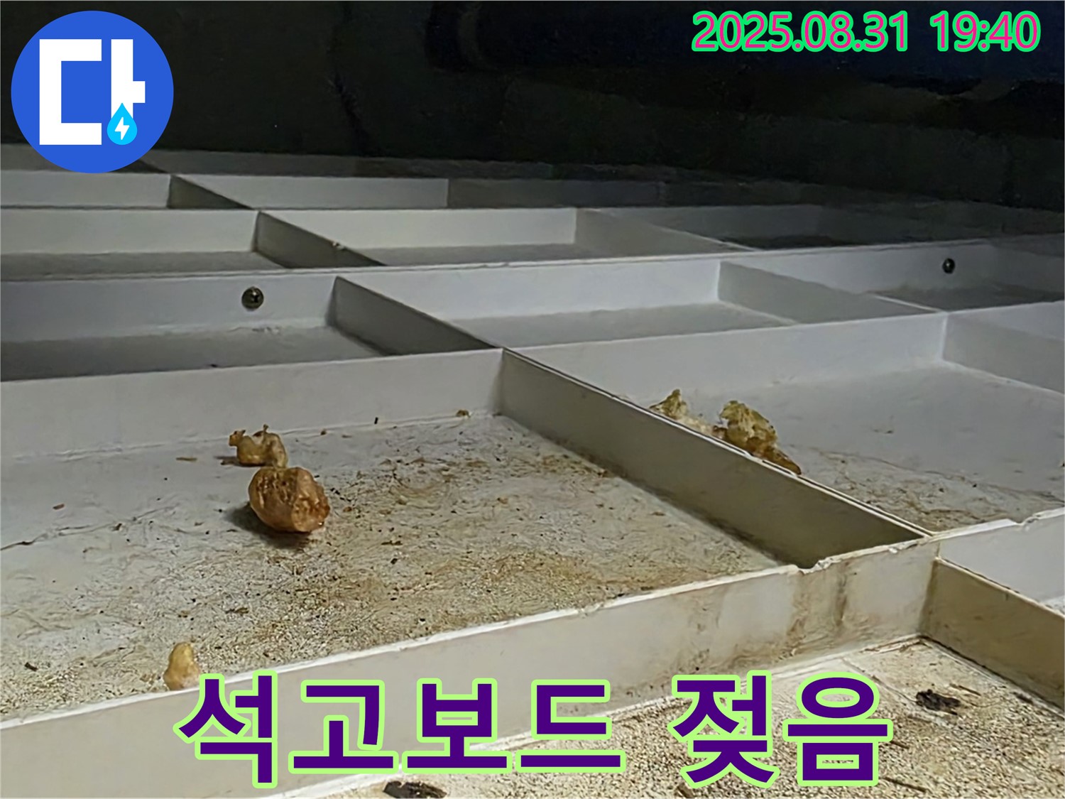 분당 산운로 천장 누수 - 석고보드 젖음 상태 긴급 점검