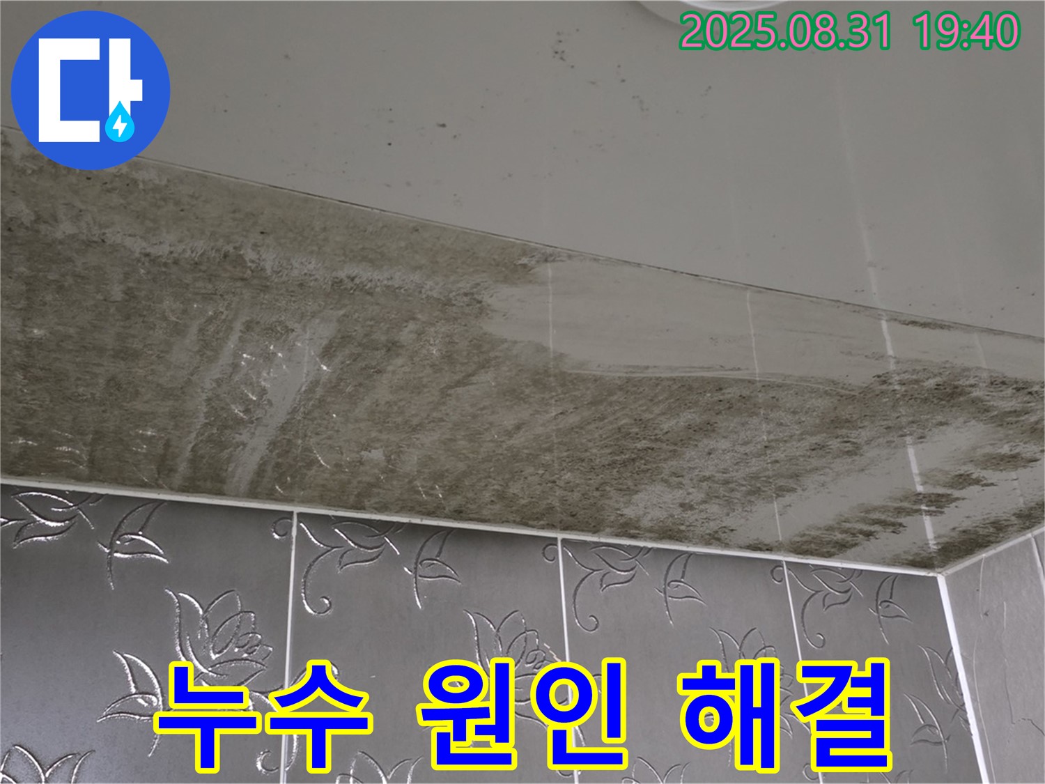 분당 산운로 - 천장 누수 해결, 곰팡이 제거까지