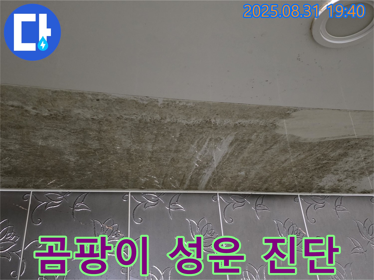분당 서현동 욕실 천장 누수 - 곰팡이가 성운처럼 핀 누수, 긴급 진단!