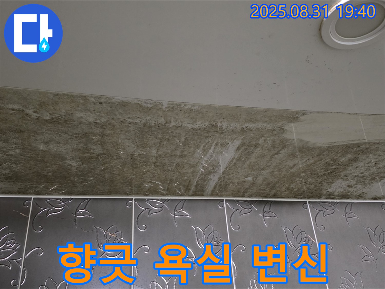 분당 야탑동 욕실 천장 누수 - 곰팡이 문제 해결하고 뽀송뽀송 향긋한 욕실로 변신!