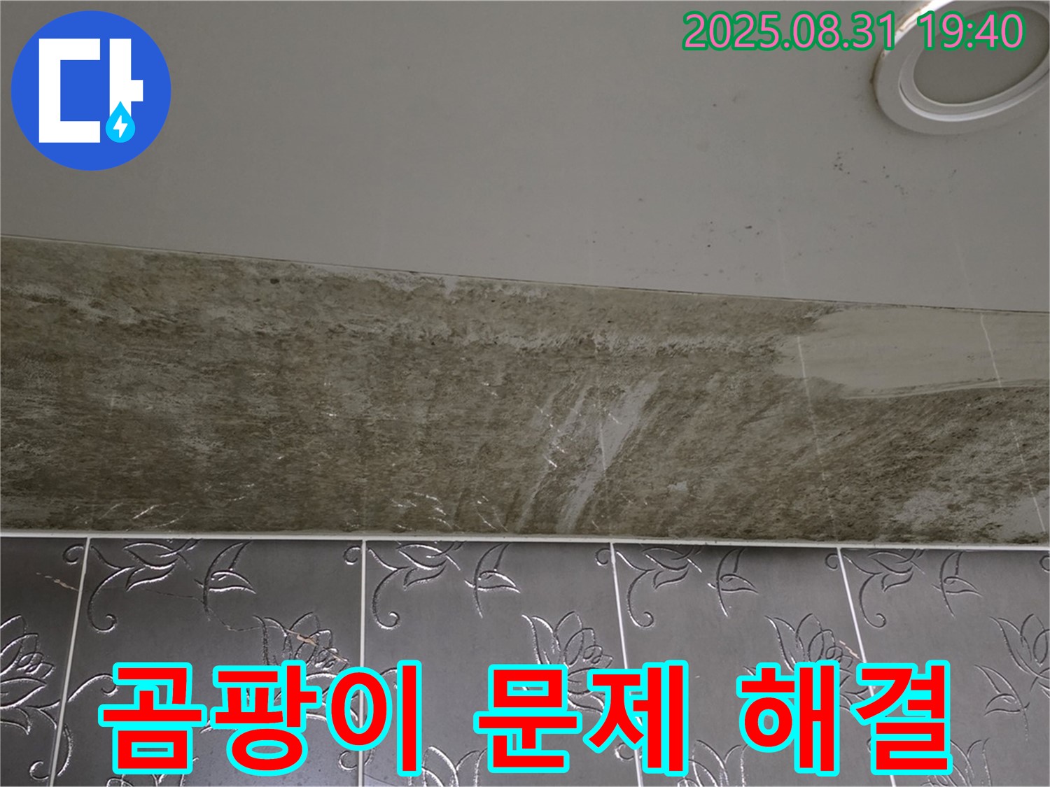 분당 야탑동 욕실 천장 누수 - 곰팡이 문제까지 완벽하게 해결! 이제 안심하세요!