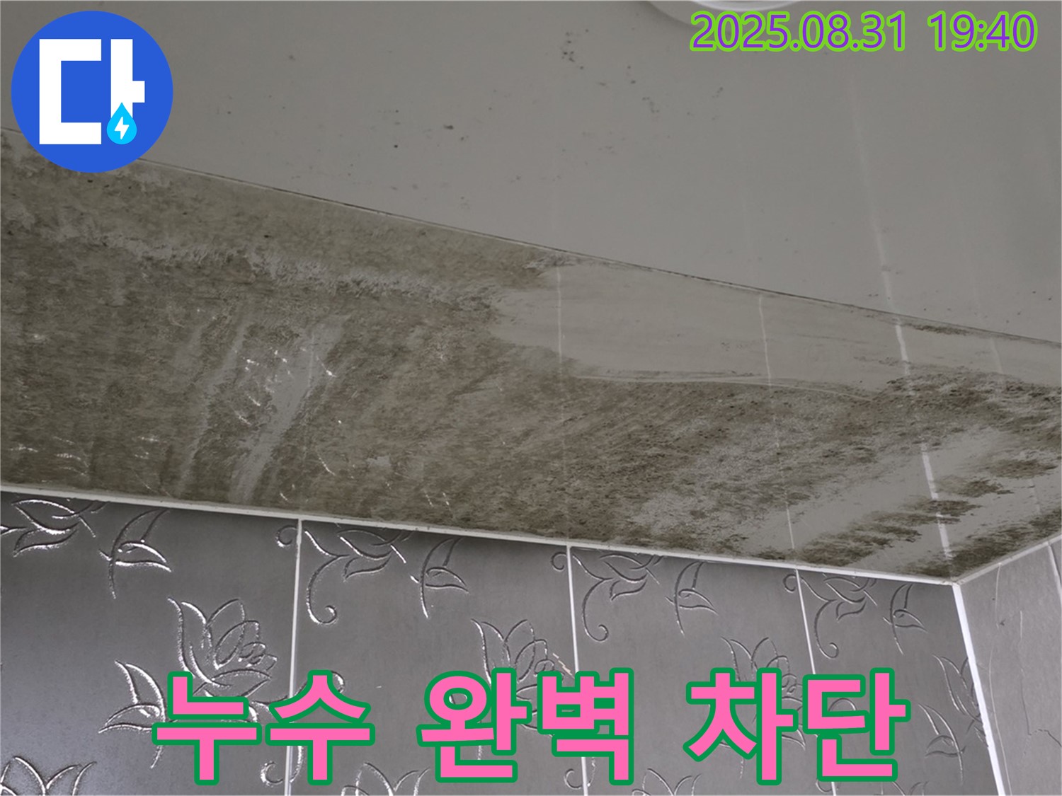 분당 운중동 - 누수 완벽 차단 - 곰팡이 흔적 없이 제거