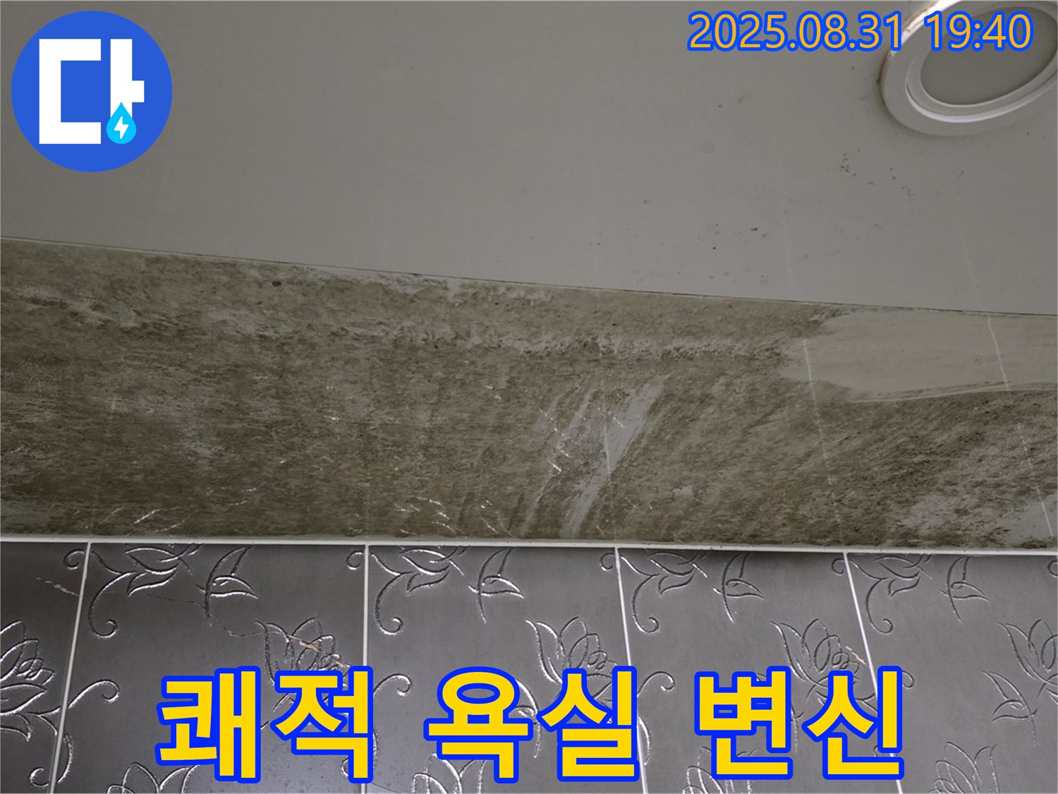 분당 운중동 욕실 천장 누수 - 곰팡이 OUT! 쾌적한 욕실로 변신!