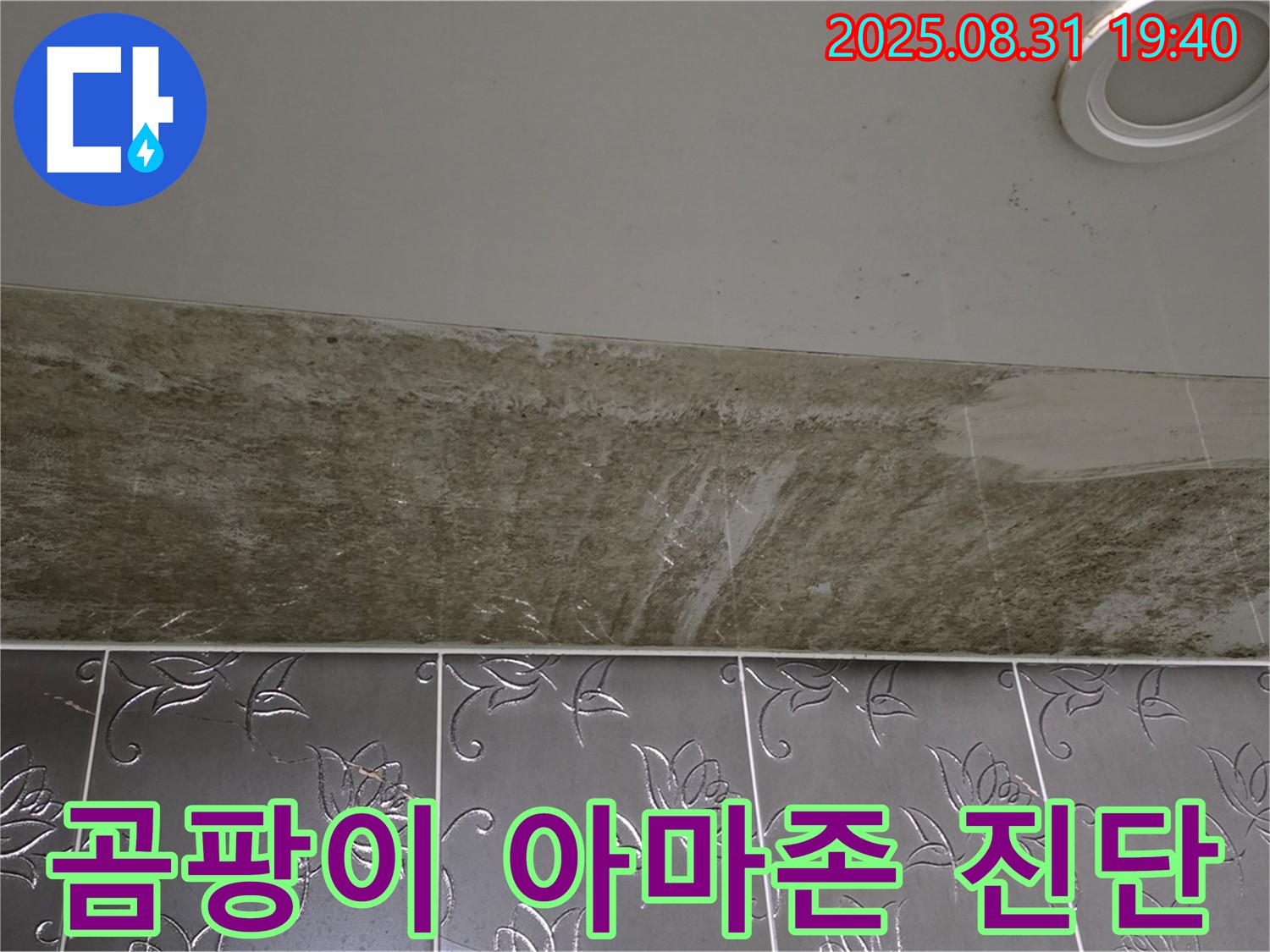 분당 운중동 욕실 천장 누수 - 곰팡이가 아마존처럼 핀 누수, 긴급 진단!