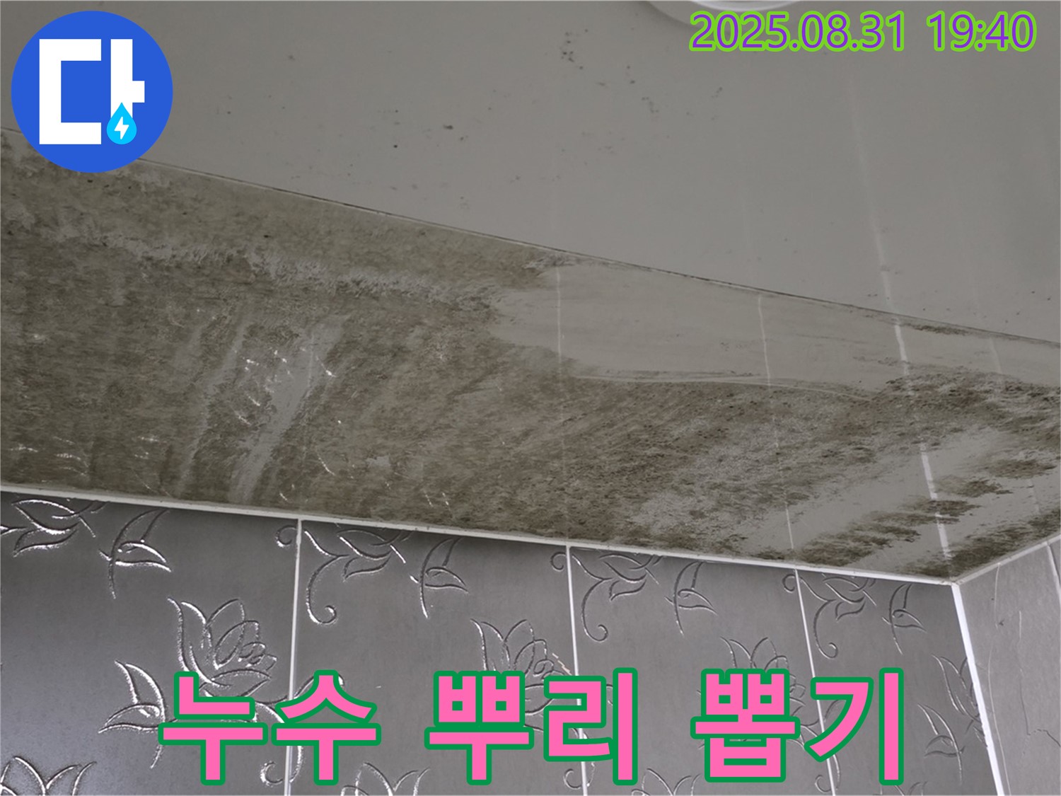 분당 운중동 - 첨단 장비로 누수 뿌리 뽑기