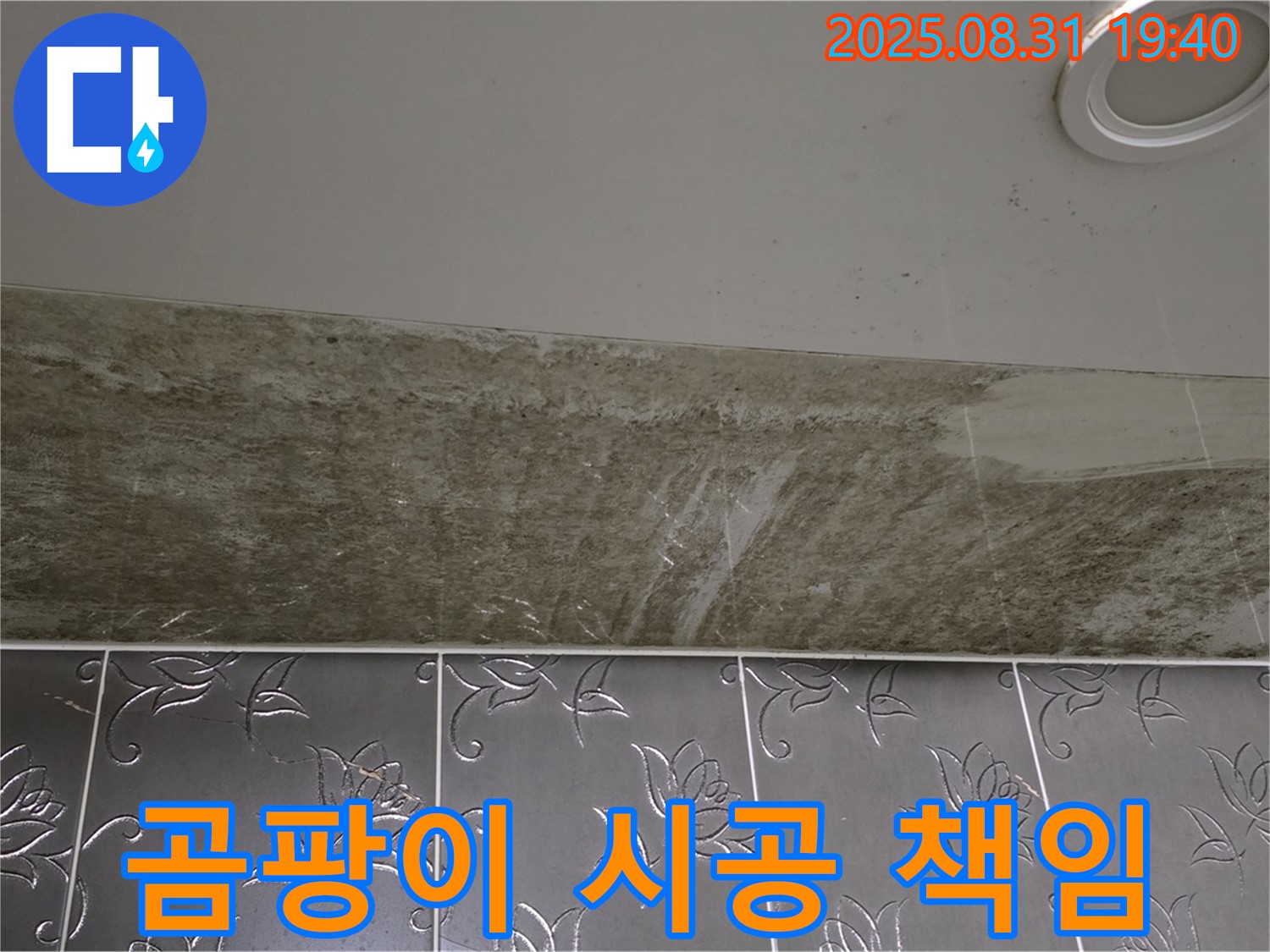 분당 율동 곰팡이 심한 욕실 천장 누수 - 원인 해결부터 완벽한 시공까지 책임집니다!
