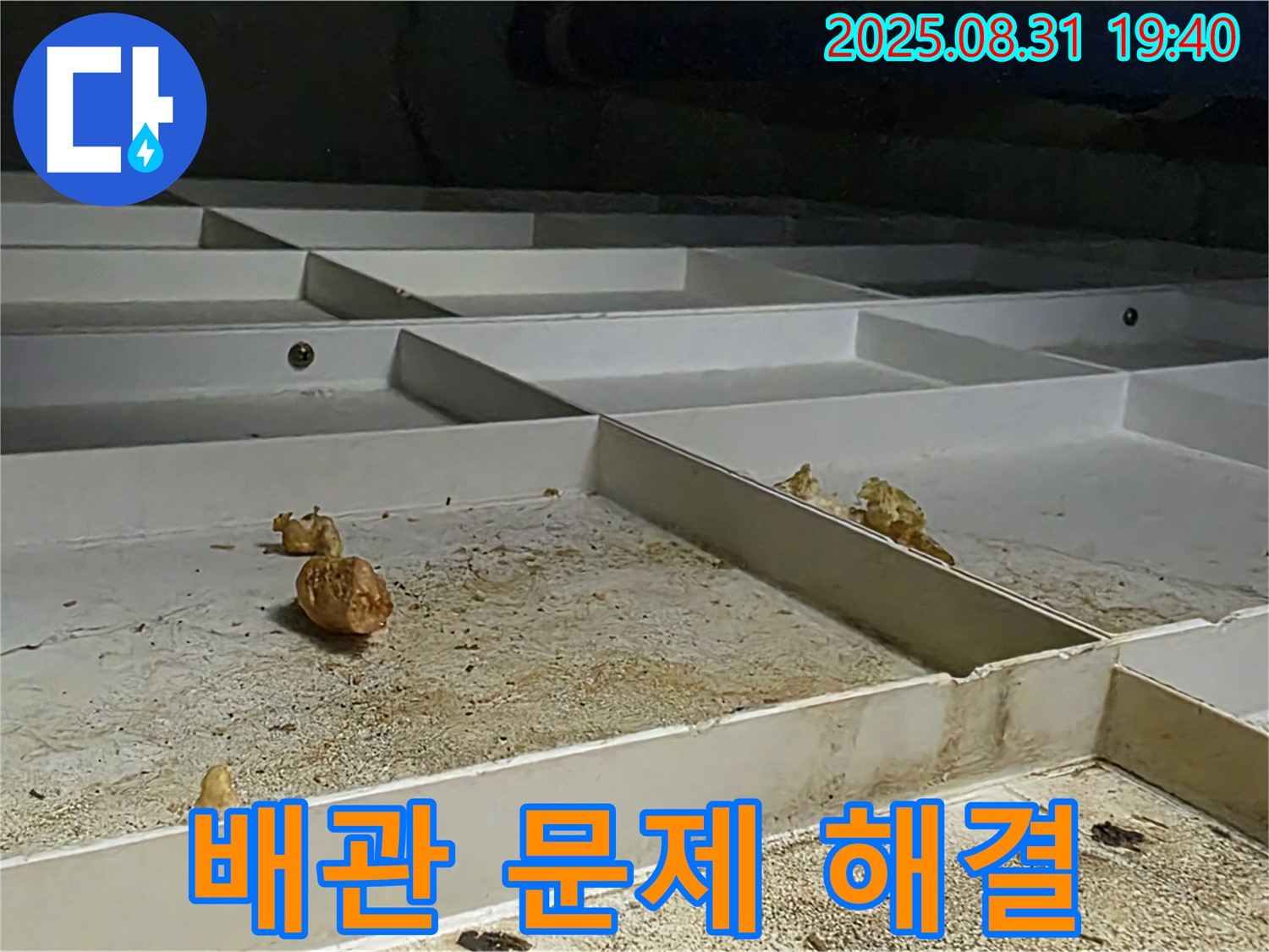 분당 이매동 누수 - 윗집 배관 문제 신속하게 해결
