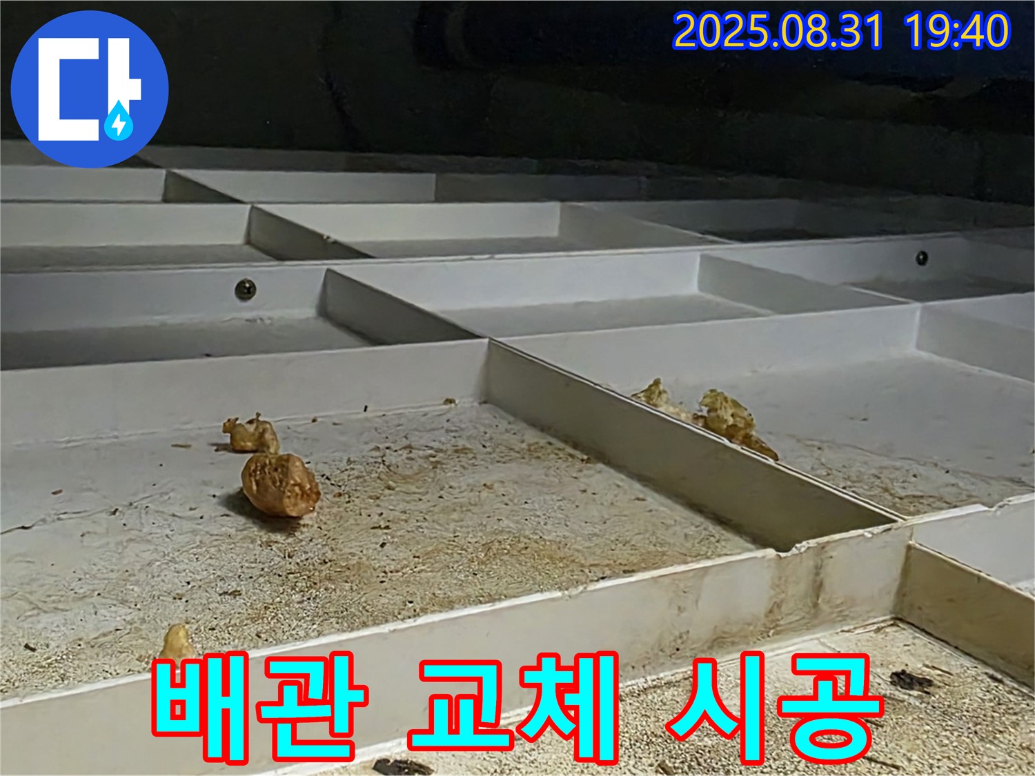 분당 정자동 누수 - 윗집 배관 완벽하게 교체 시공 완료