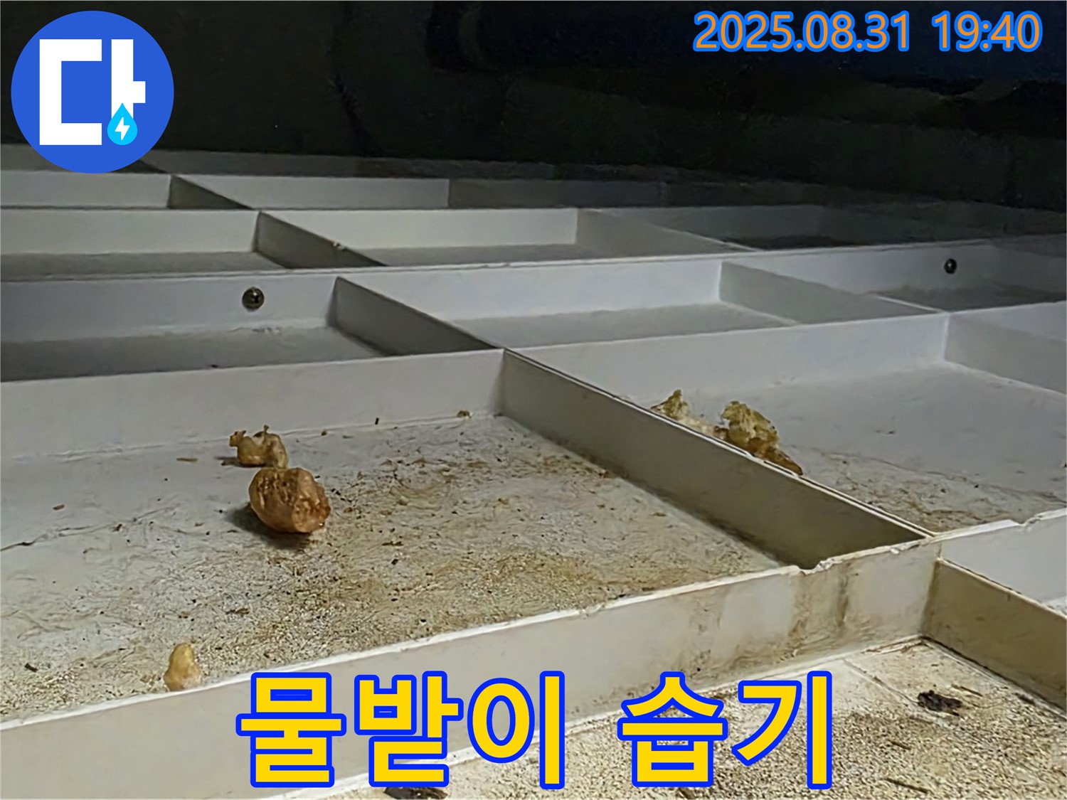 분당 정자동 누수 - 천장 물받이, 습기 가득, 곰팡이 발생 위험