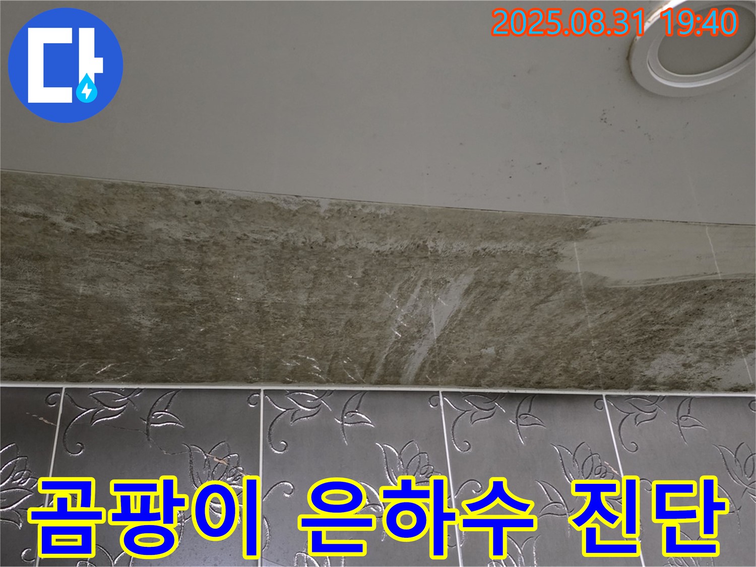 분당 정자동 욕실 천장 누수 - 곰팡이가 은하수처럼 핀 누수, 긴급 진단!