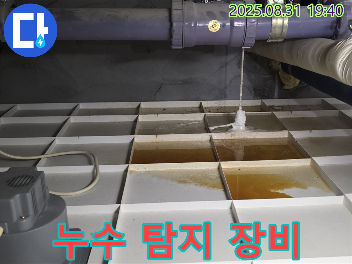 분당구 금곡동 건물 누수 - 누수 탐지 장비로 배관 누수 진단