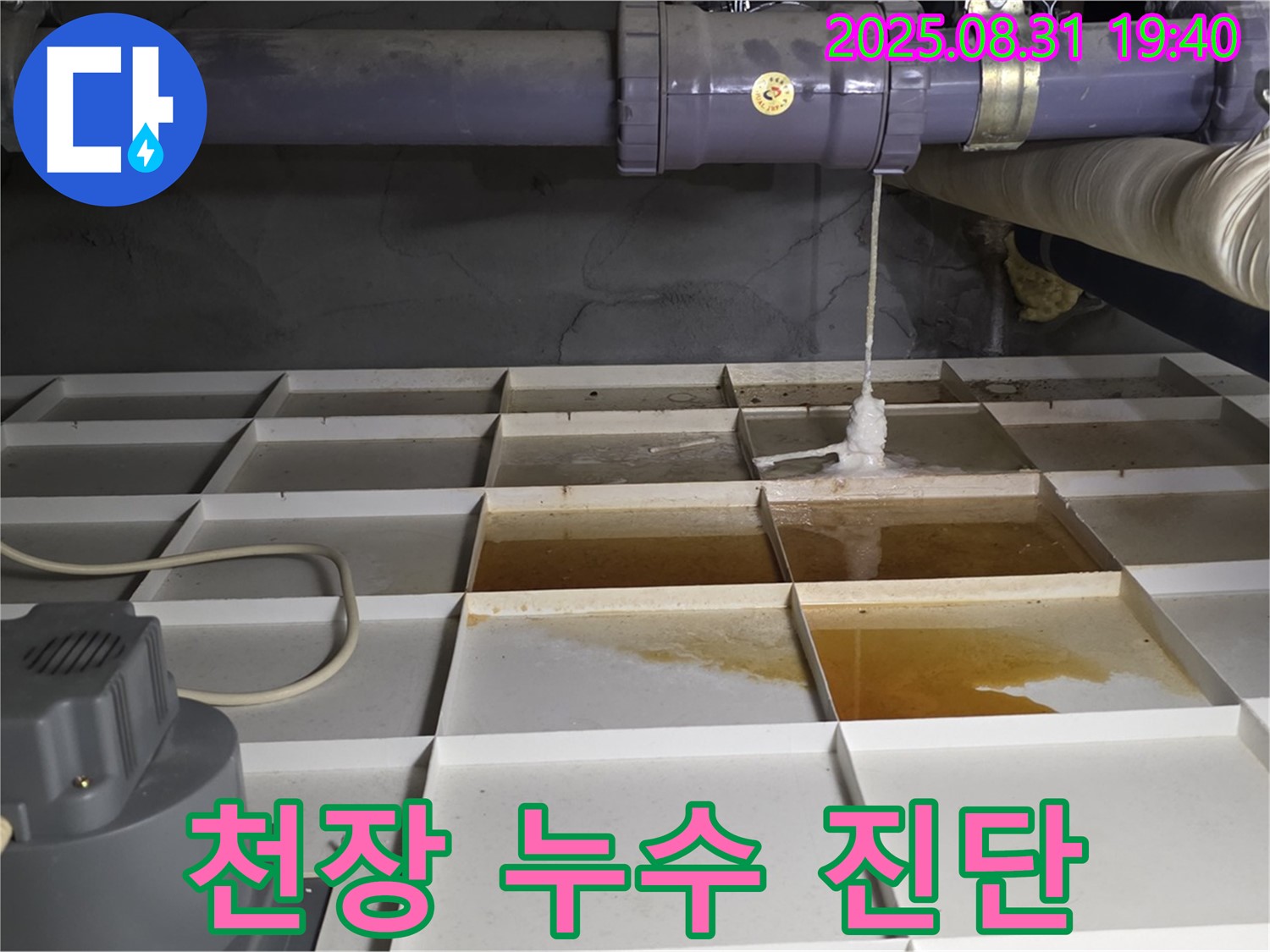분당구 금곡동 건물 누수 - 천장 누수, 윗집 문제? 꼼꼼 진단