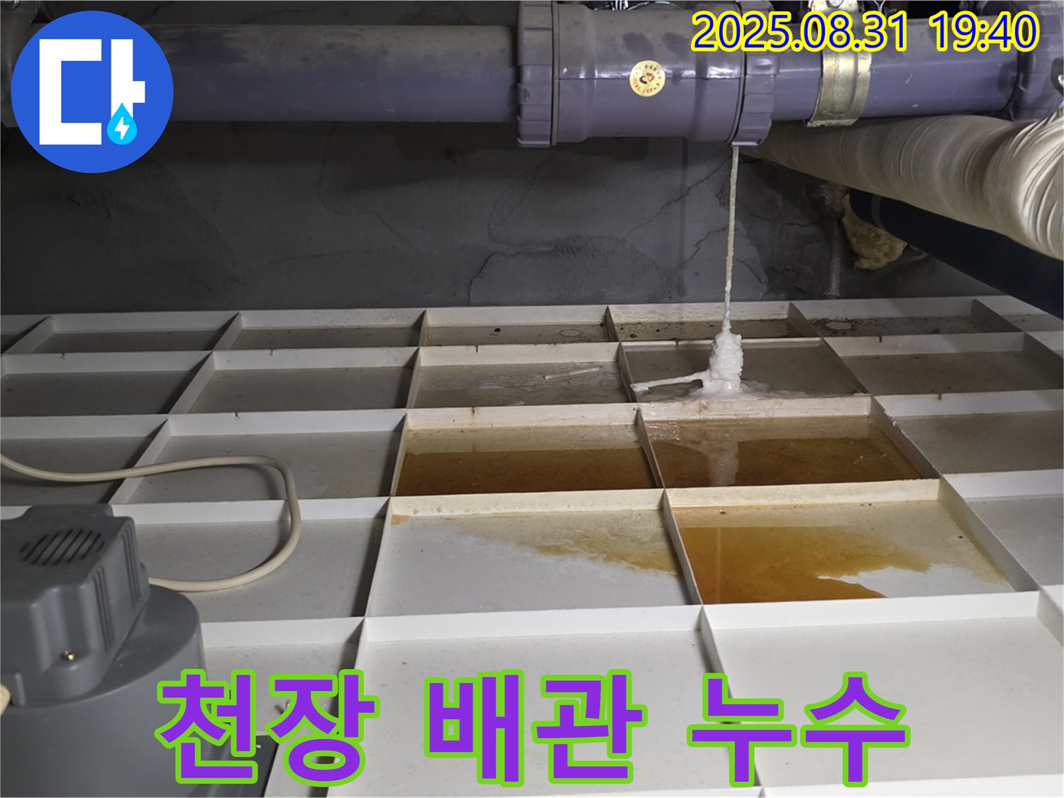 분당구 금곡동 건물 누수 - 천장 배관에서 누수 발생, 긴급 해결 필요