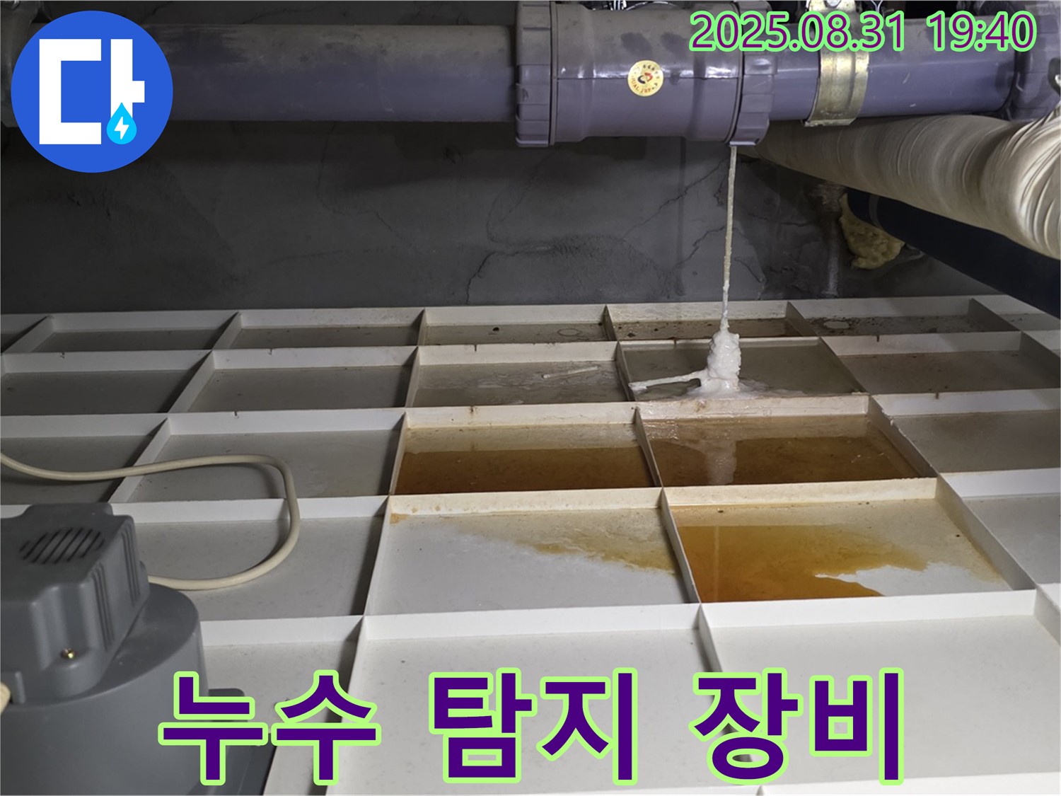 분당구 금곡동 건물 누수 - 첨단 장비로 배관 누수 진단