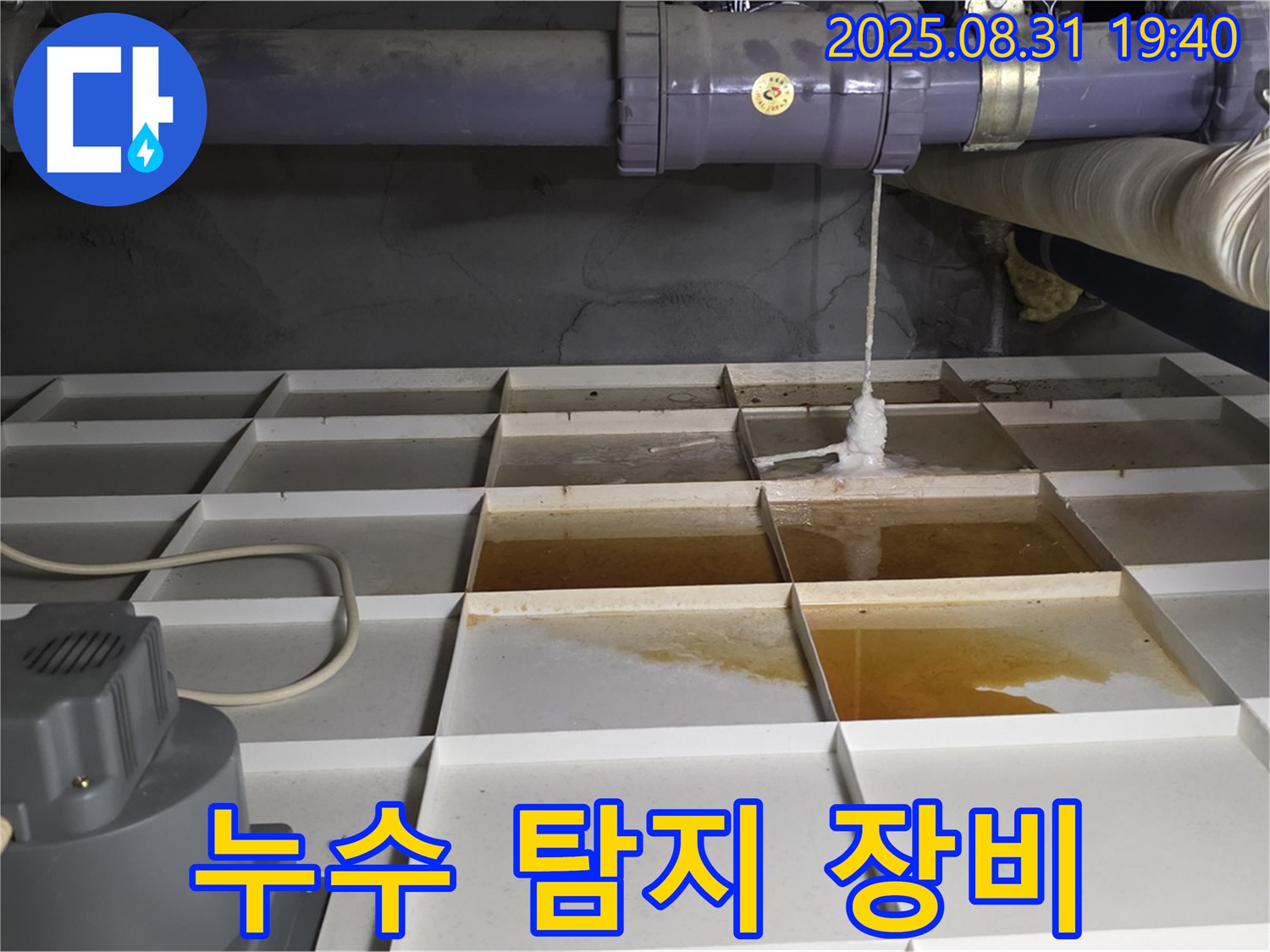분당구 금곡동 건물 누수 - 첨단 장비로 배관 누수 진단