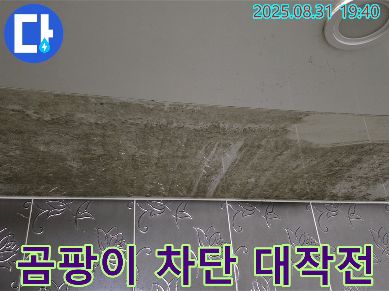 분당구 백현동 곰팡이 정글 된 욕실 천장 누수 - 완벽하게 차단 대작전 성공!