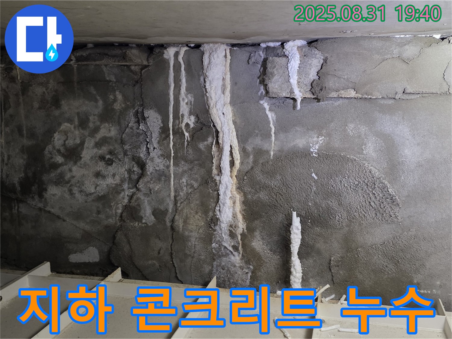 분당구 산운동 건물 지하 콘크리트 누수 - 심각한 석회수 누수 흔적과 콘크리트 손상, 건물 안전 위협