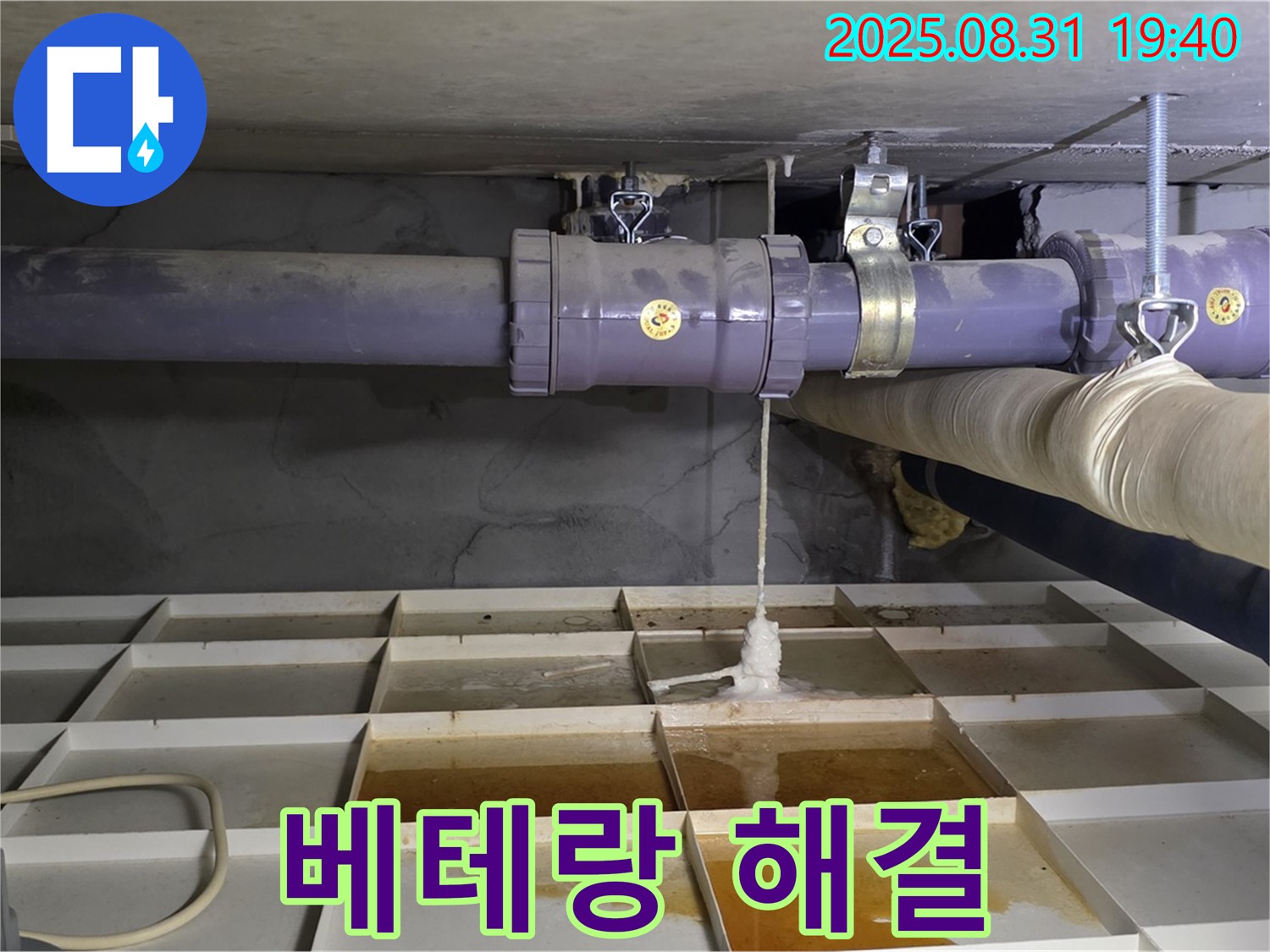 분당구 산운동 누수 - 베테랑 기술자가 책임지고 해결!