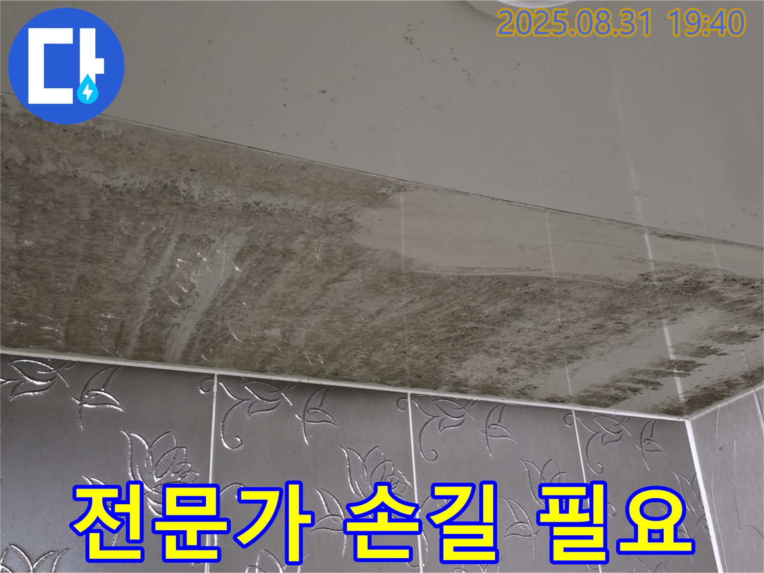 분당구 산운동 아파트 - 곰팡이 가득한 욕실 천장, 전문가만이 해결