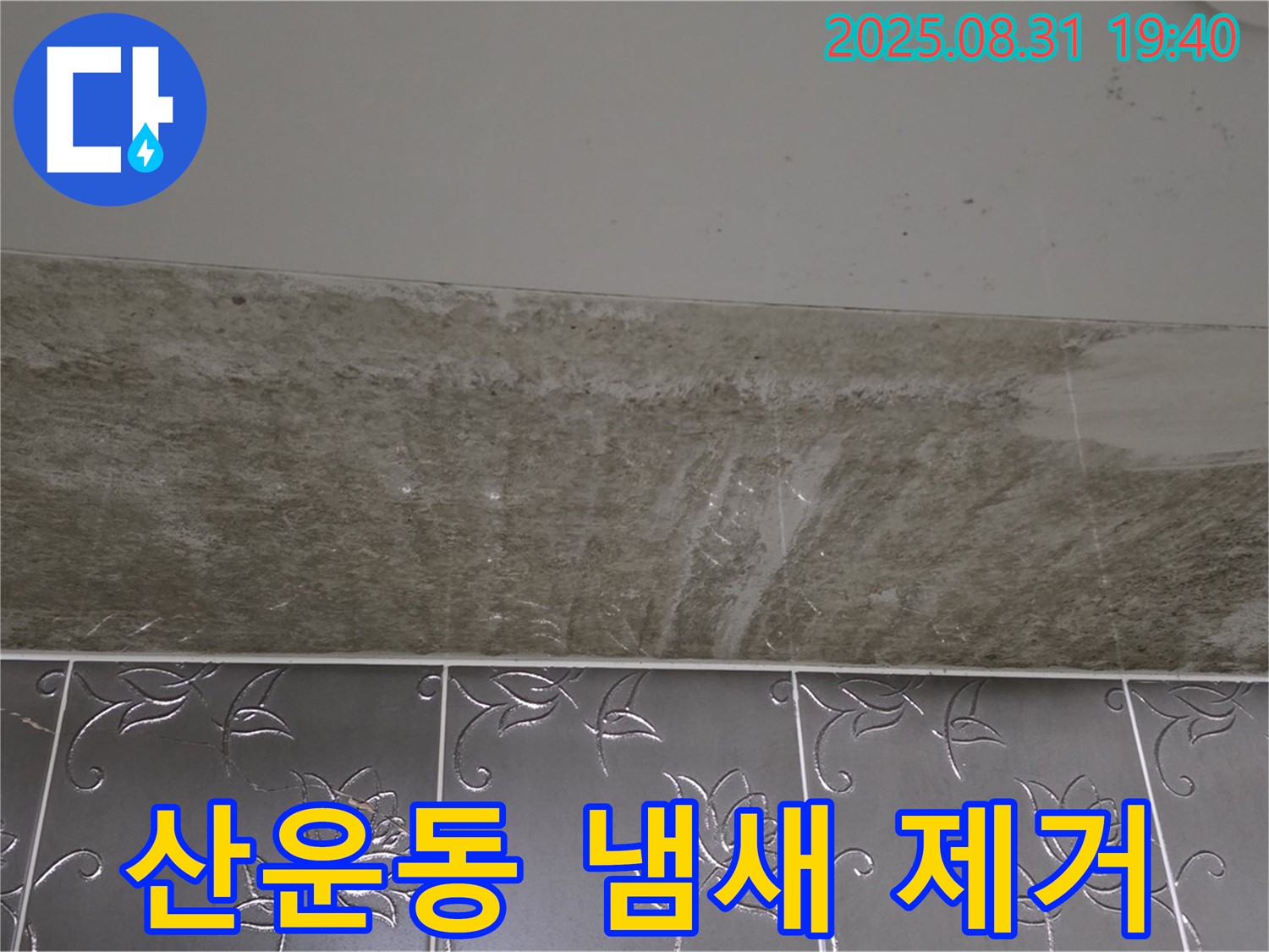 분당구 산운동 욕실 곰팡이 - 곰팡이 냄새, 이제 안녕! 쾌적한 욕실로!
