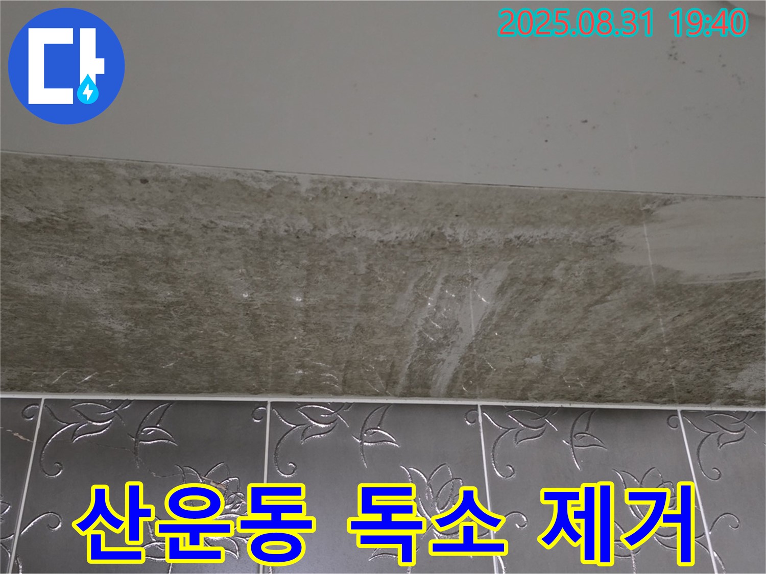 분당구 산운동 욕실 곰팡이 - 곰팡이 독소 제거 시공