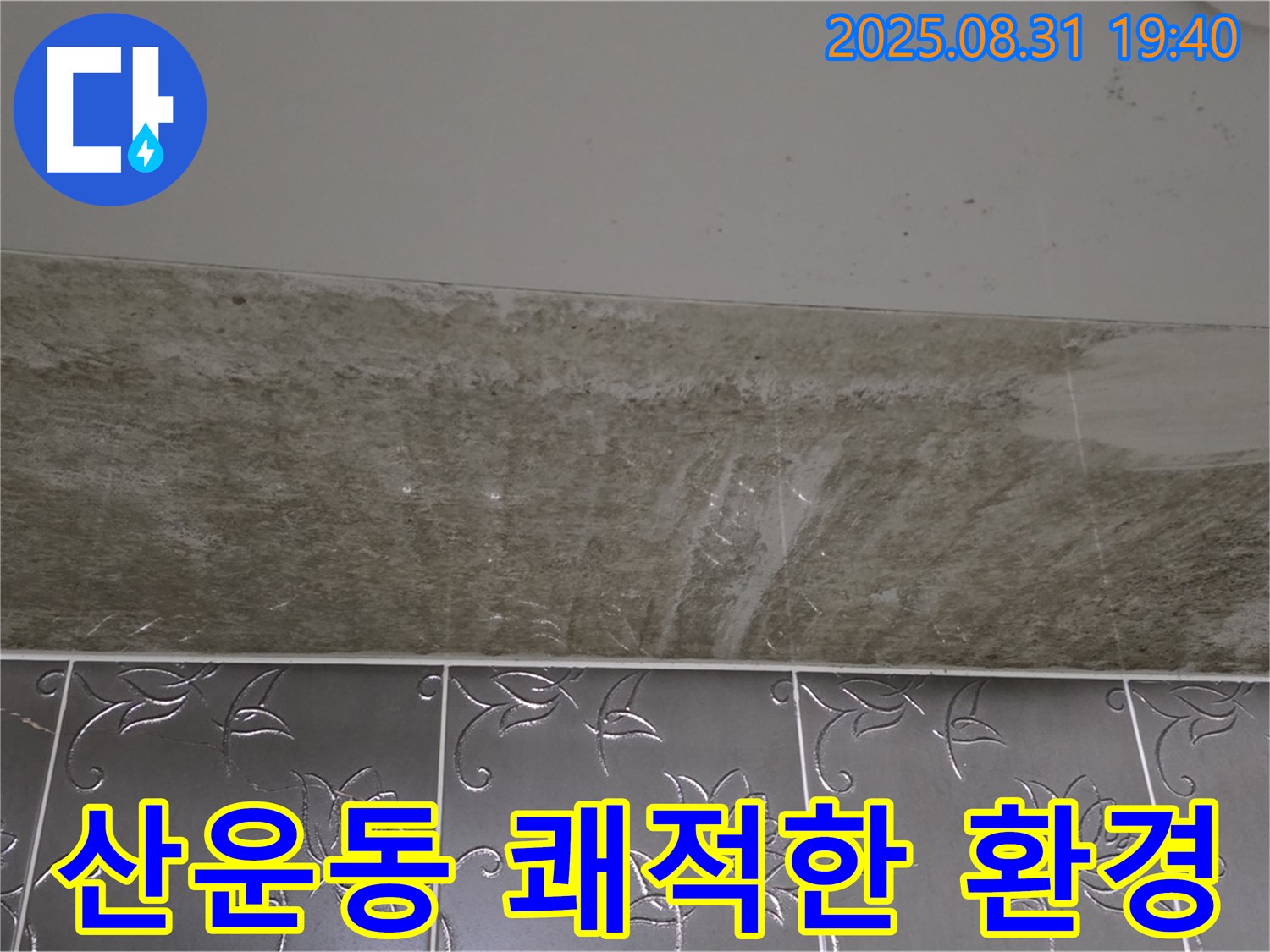 분당구 산운동 욕실 곰팡이 - 곰팡이 완벽 제거 쾌적한 환경 조성