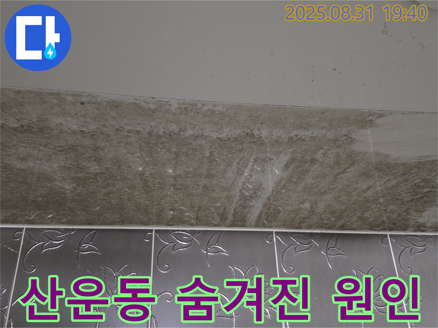 분당구 산운동 욕실 곰팡이 - 숨겨진 원인까지 꼼꼼하게 해결!