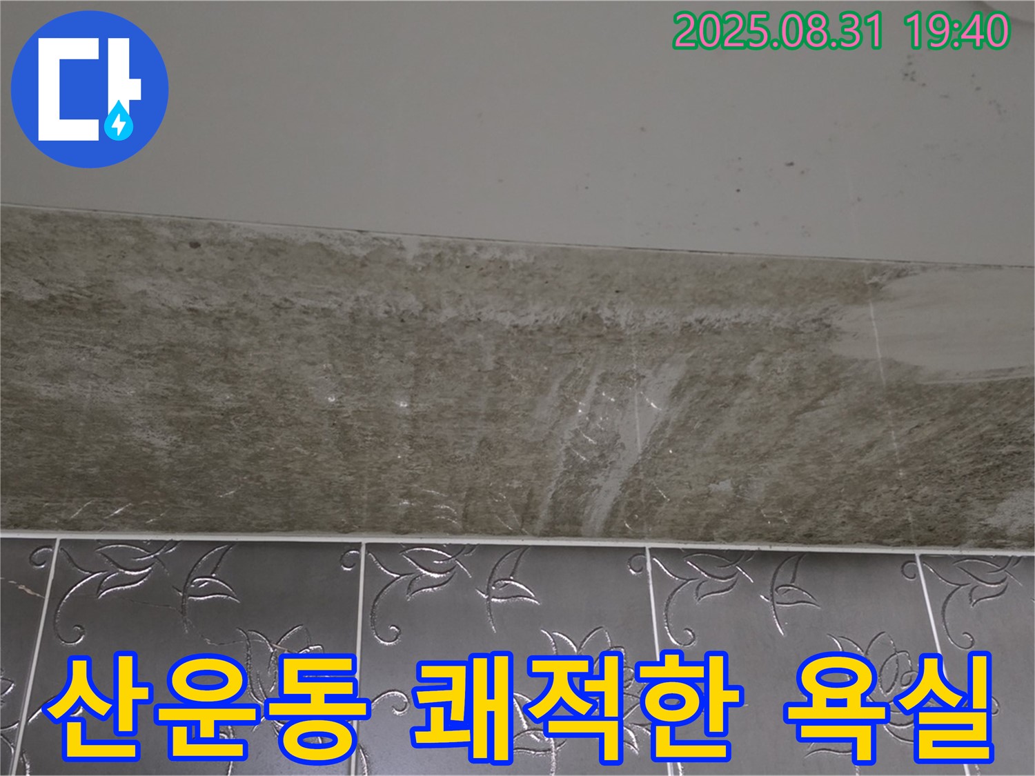 분당구 산운동 욕실 곰팡이 - 쾌적한 욕실 되찾기!