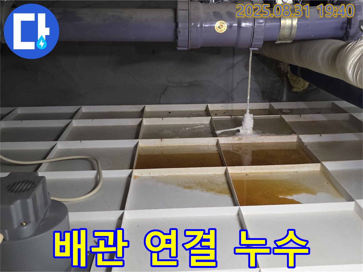 분당구 산운로 121 건물 누수 - 배관 연결 부위에서 누수 발생, 신속 조치