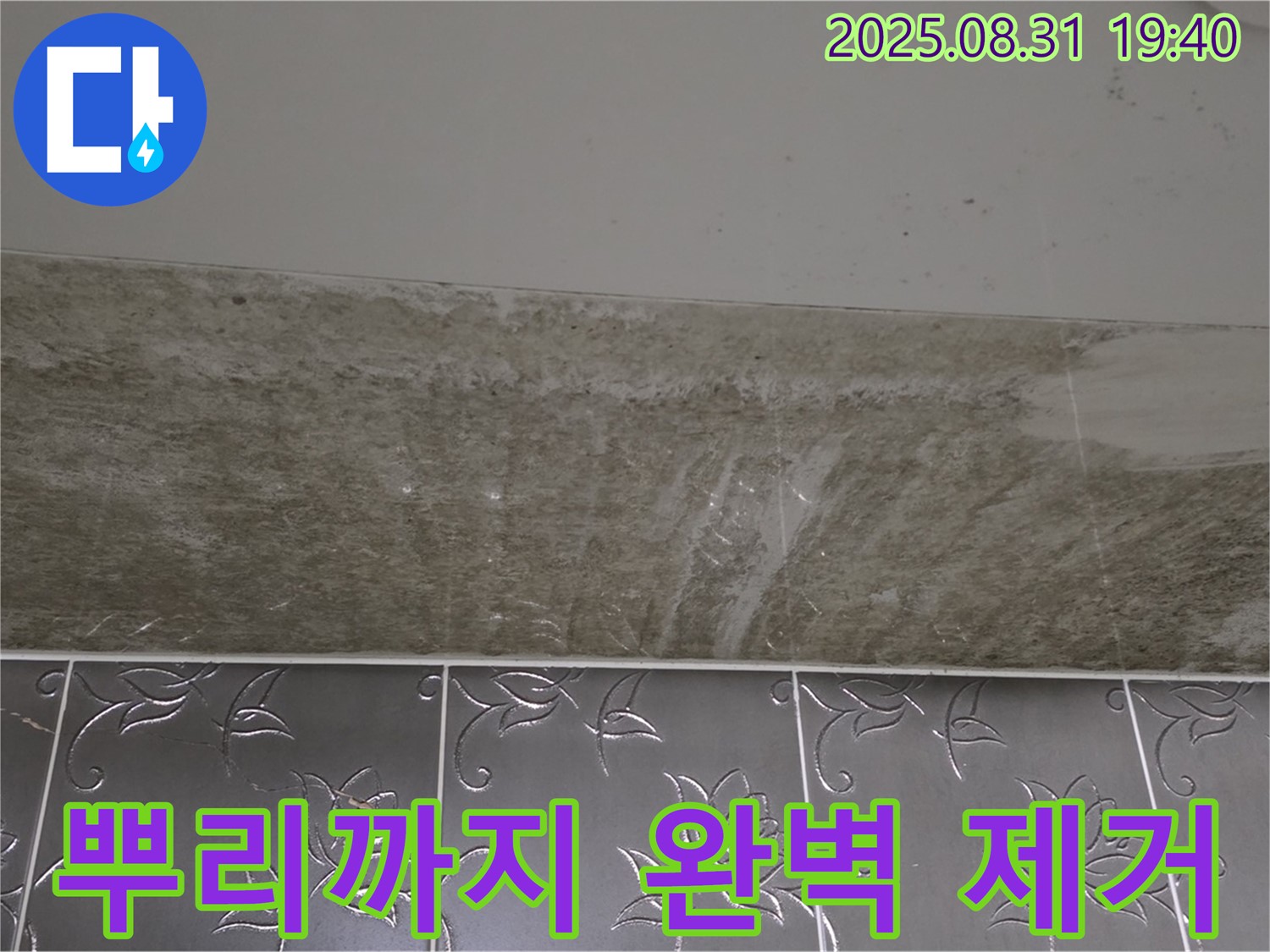 분당구 산운로 121 - 곰팡이 뿌리까지 뽑는 완벽 시공