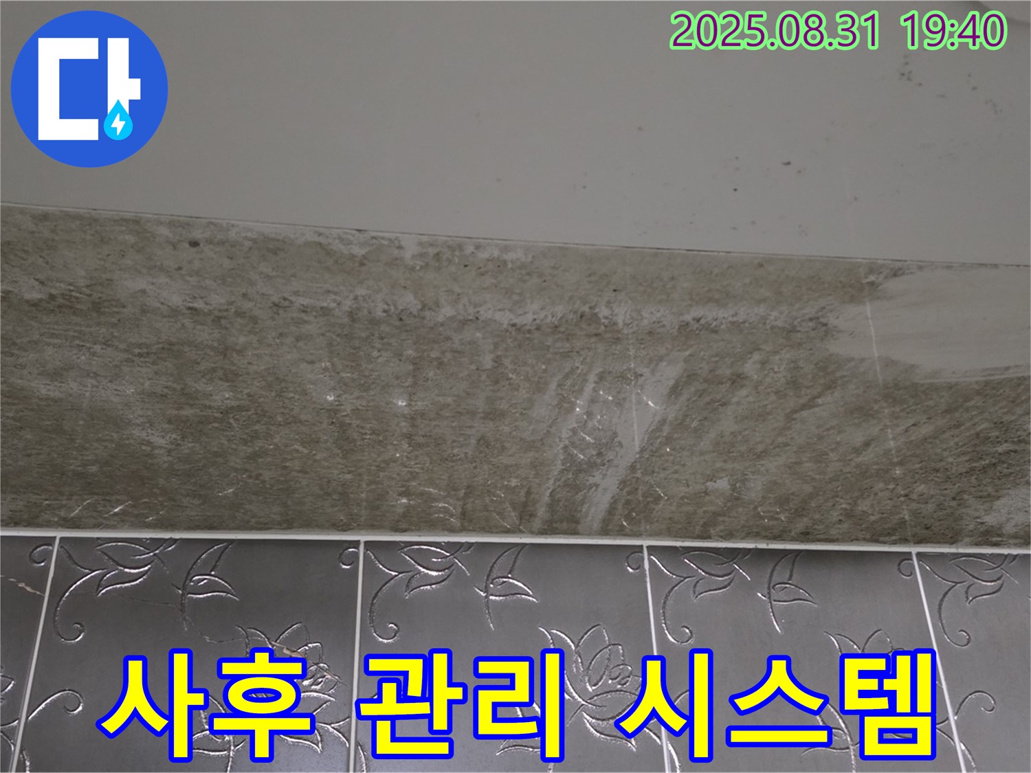 분당구 산운로 121 - 곰팡이 제거 완벽한 사후 관리 시스템