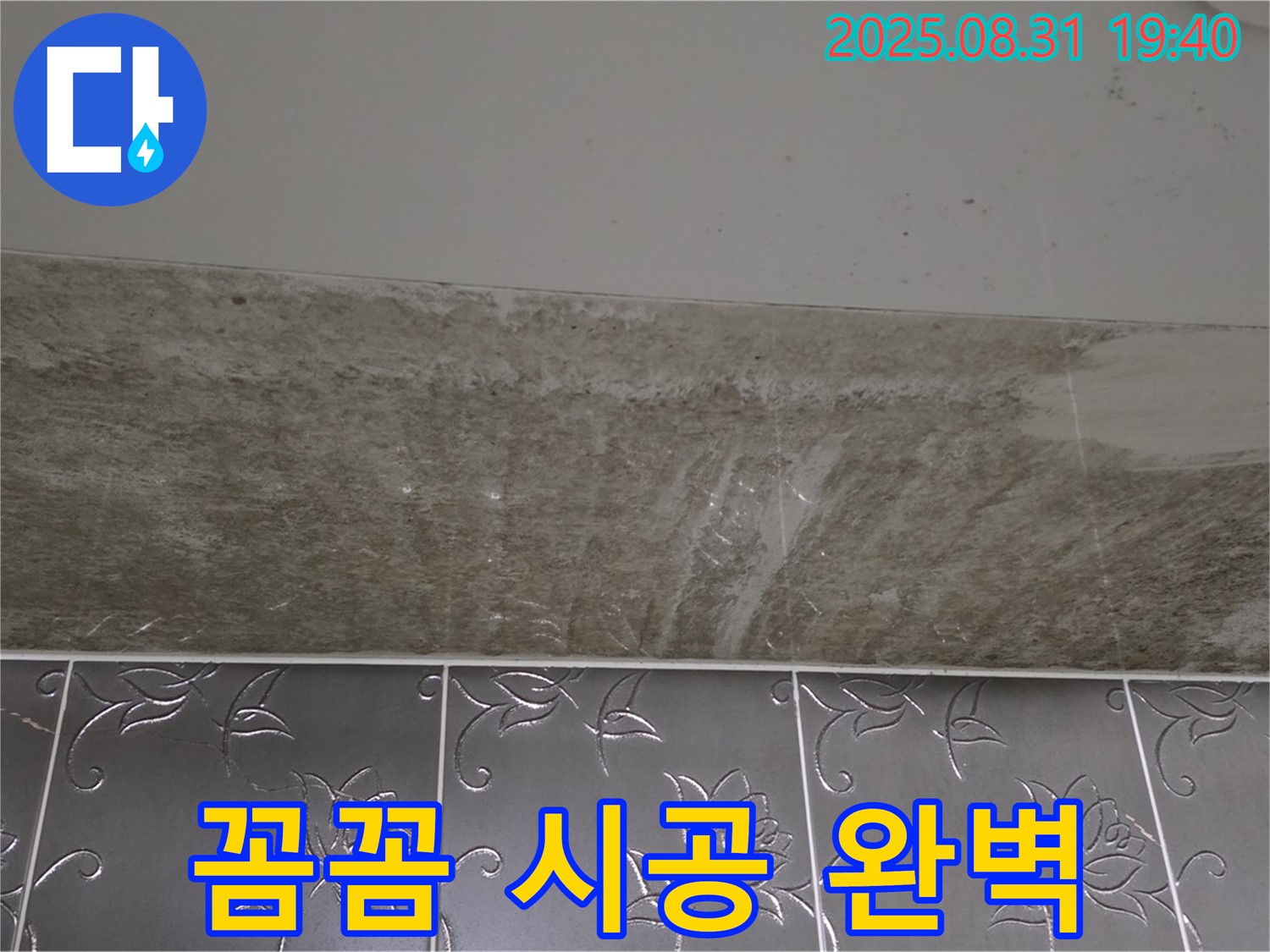 분당구 산운로 121 욕실 곰팡이 - 곰팡이 제거 꼼꼼한 시공으로 완벽하게