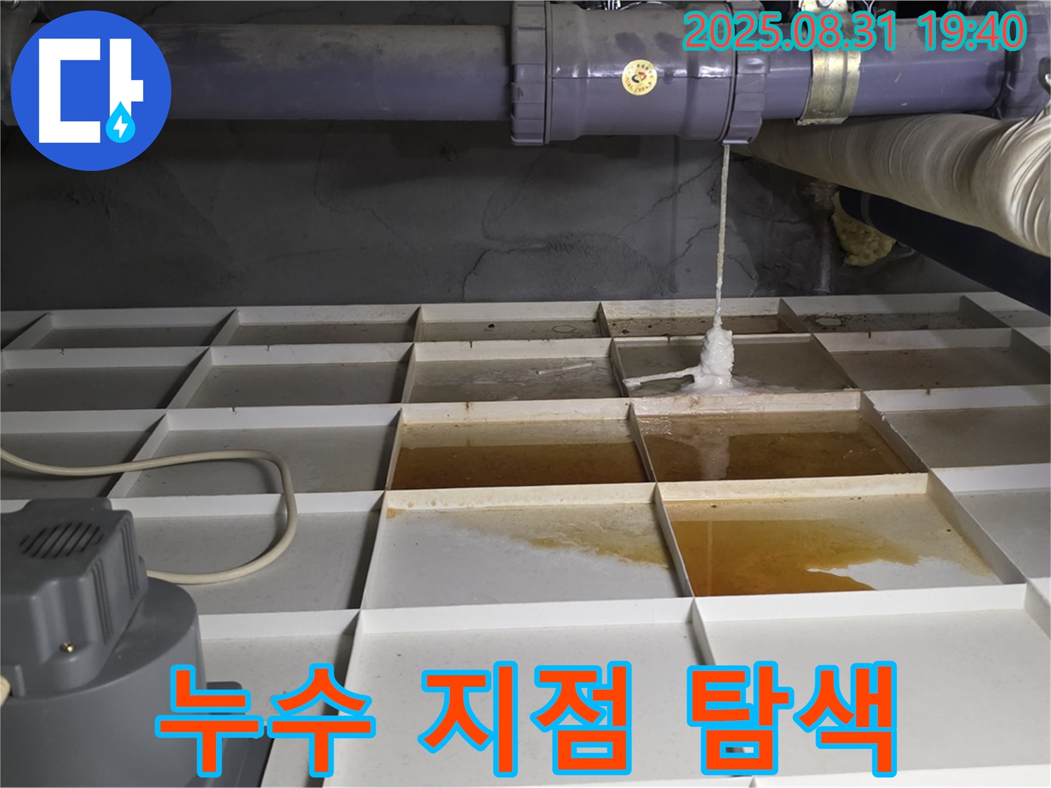 분당구 산운로 건물 누수 - 천장 누수, 정확한 지점 탐색