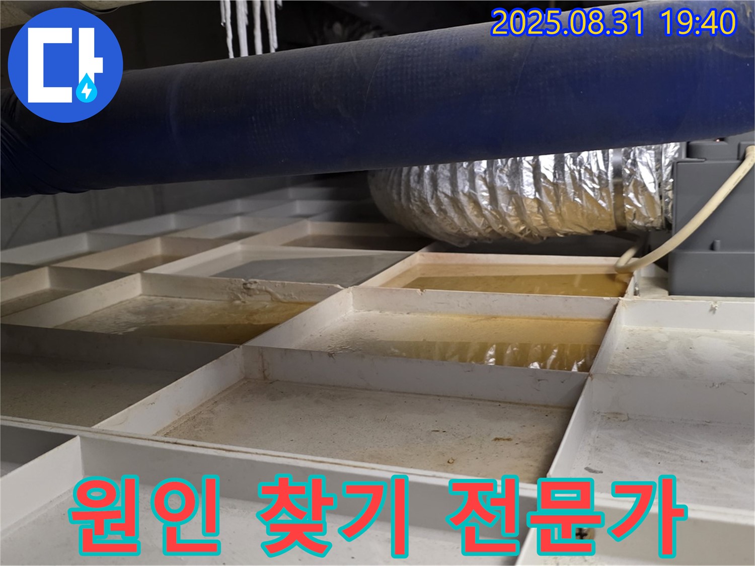 분당구 산운로 건물 지하 누수 - 누수 원인 찾기 전문가가 해결