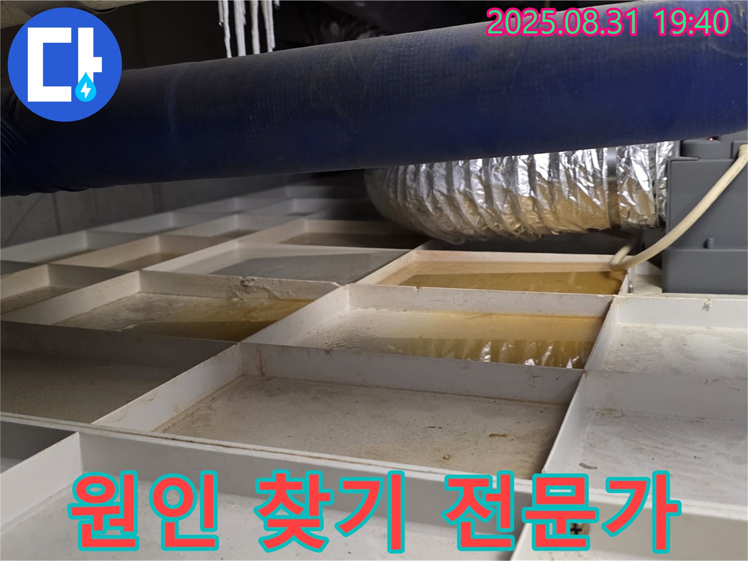 분당구 산운로 건물 천장 누수 - 누수 원인 찾기 전문가가 직접 해결