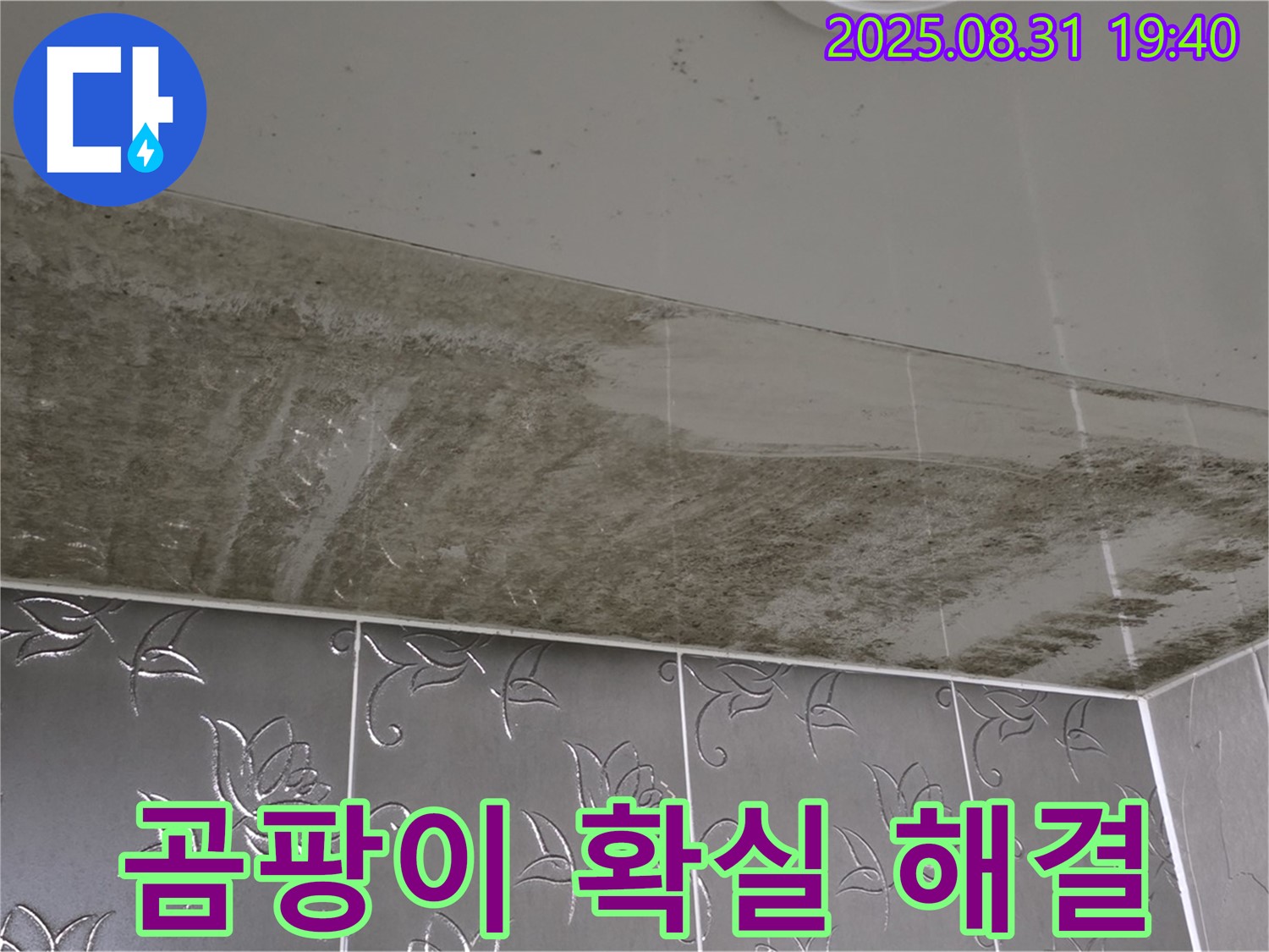 분당구 산운로 - 곰팡이 핀 욕실 천장, 누수로 인한 곰팡이