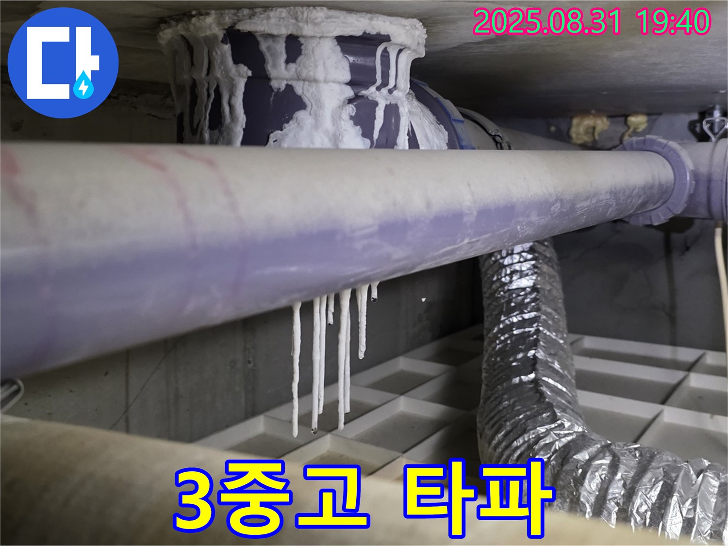 분당구 산운로 누수 - 석회수, 곰팡이, 악취 3중고 완벽 타파 - 쾌적한 공간으로