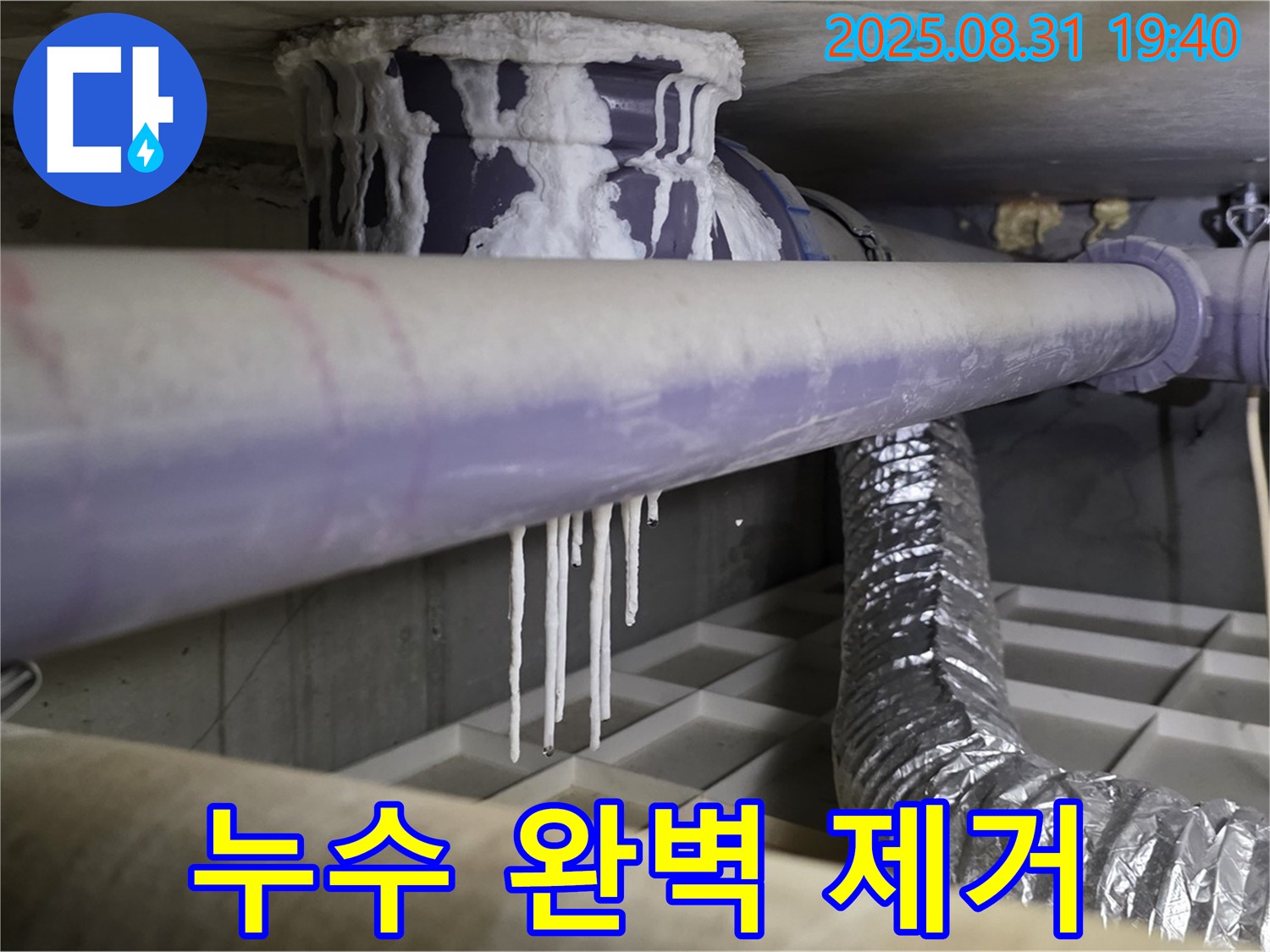 분당구 산운로 누수 - 석회수, 곰팡이, 악취 완벽 제거 - 쾌적한 환경 보장