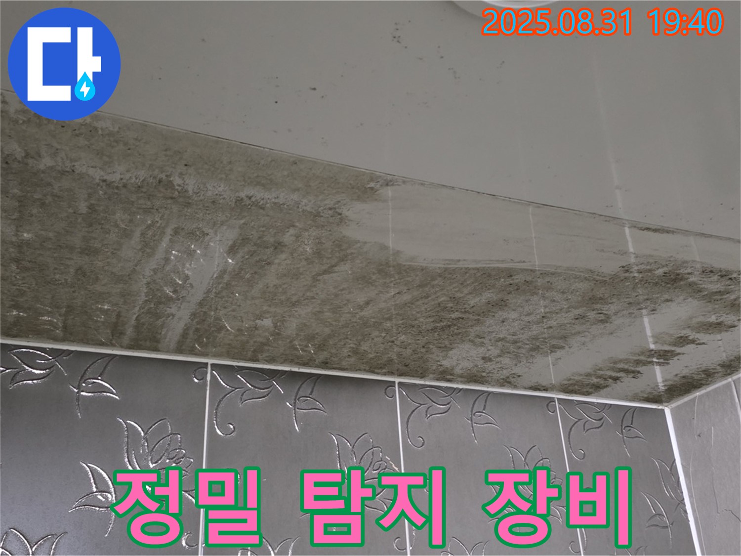 분당구 산운로 누수 - 정밀 탐지 장비로 누수 위치 정확히 파악