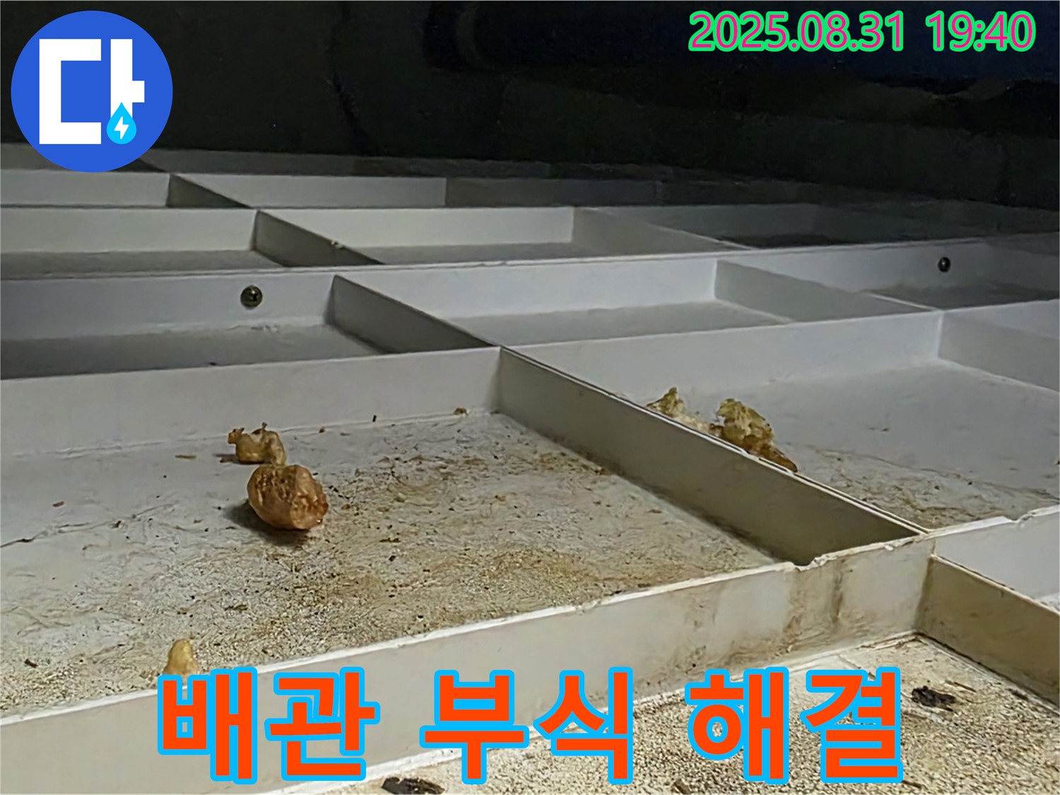분당구 산운로 누수 - 천장 누수, 배관 부식으로 인한 누수 완벽 해결