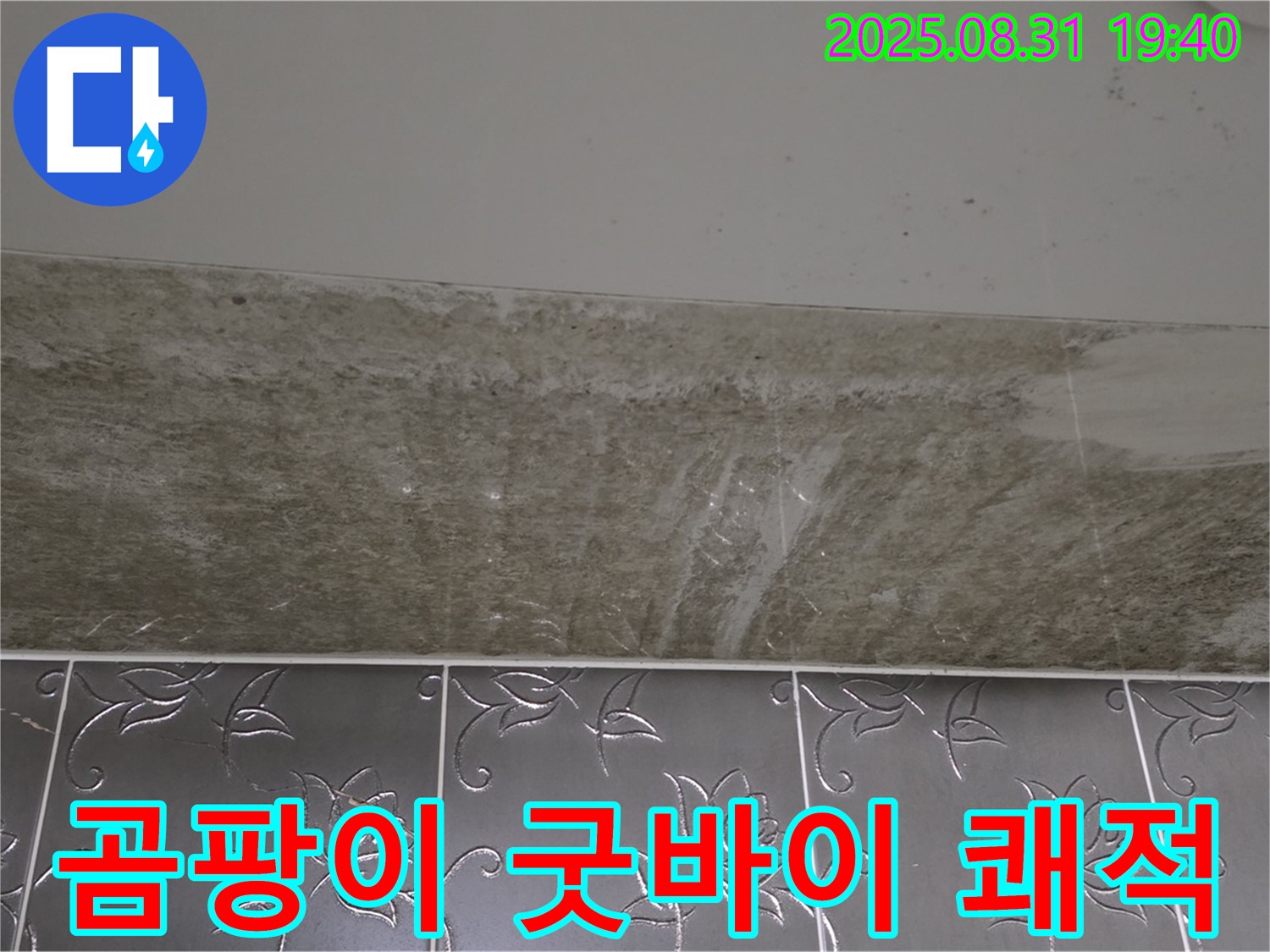 분당구 산운로 욕실 곰팡이 - 곰팡이 굿바이 쾌적한 욕실로 변신