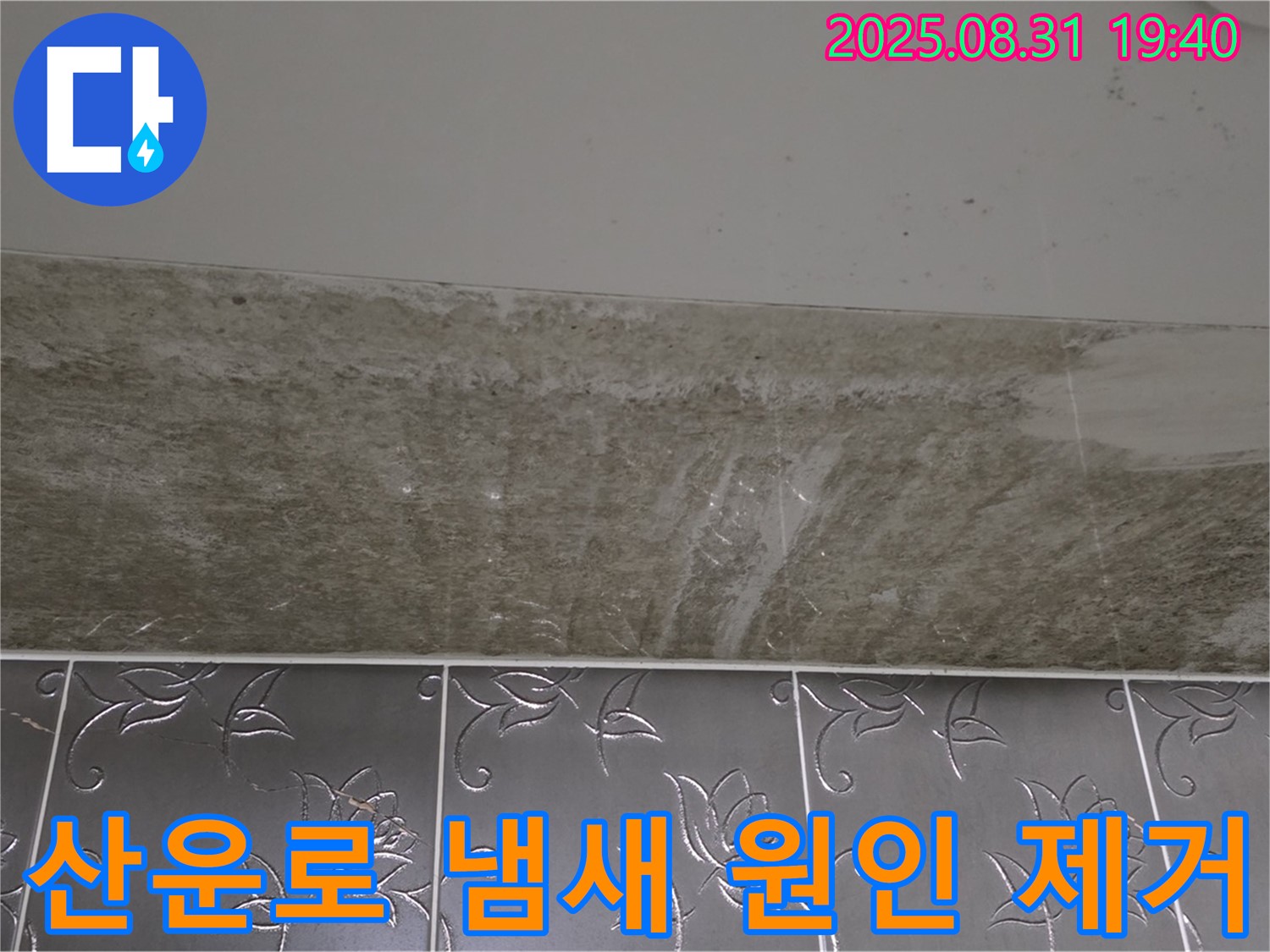 분당구 산운로 욕실 곰팡이 - 곰팡이 냄새 원인 제거 상쾌한 욕실