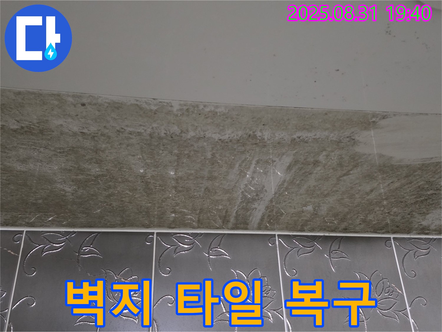 분당구 산운로 욕실 곰팡이 - 곰팡이 제거 망가진 벽지 타일 복구