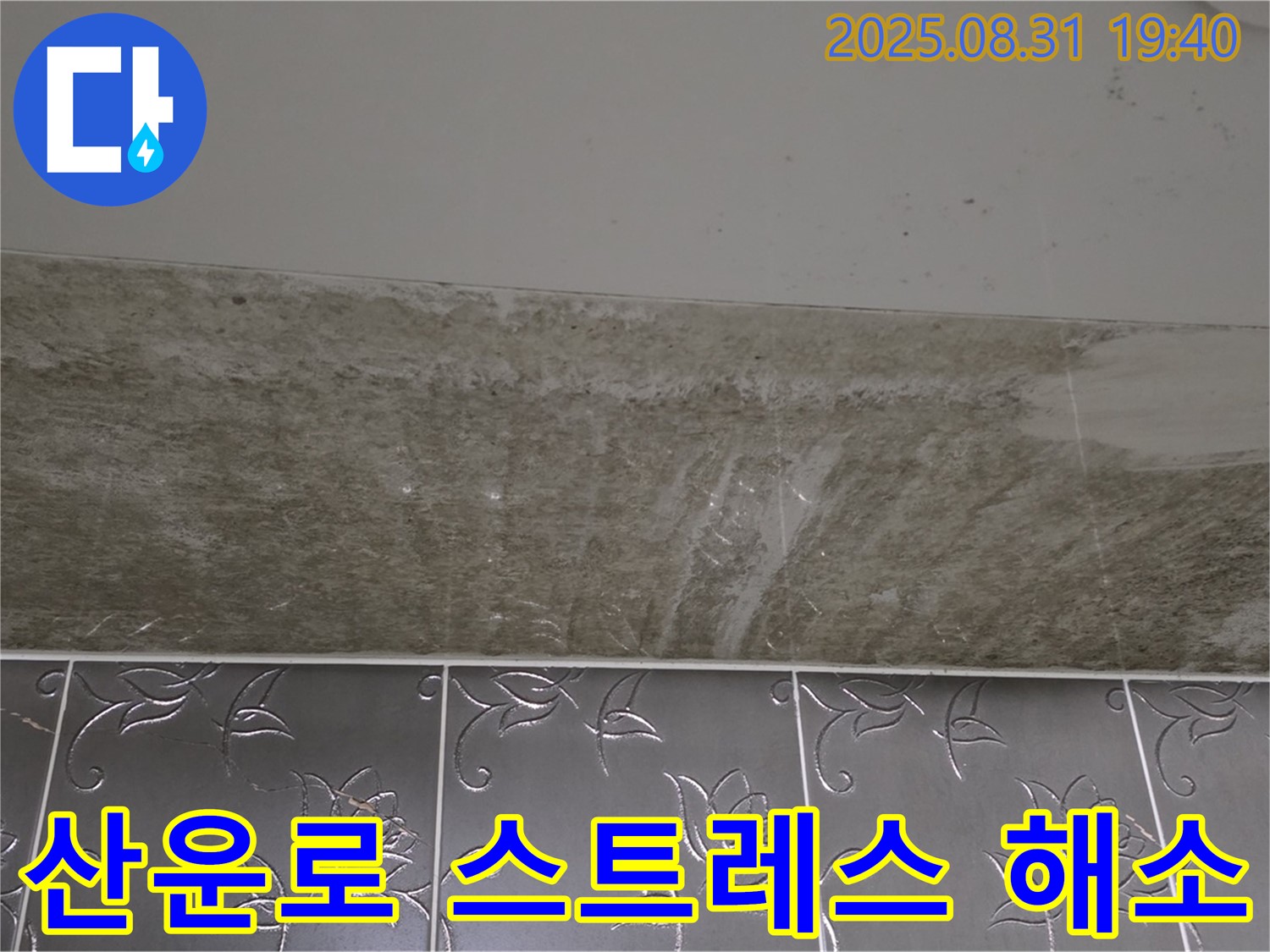 분당구 산운로 욕실 곰팡이 - 완벽 해결! 스트레스 해소!