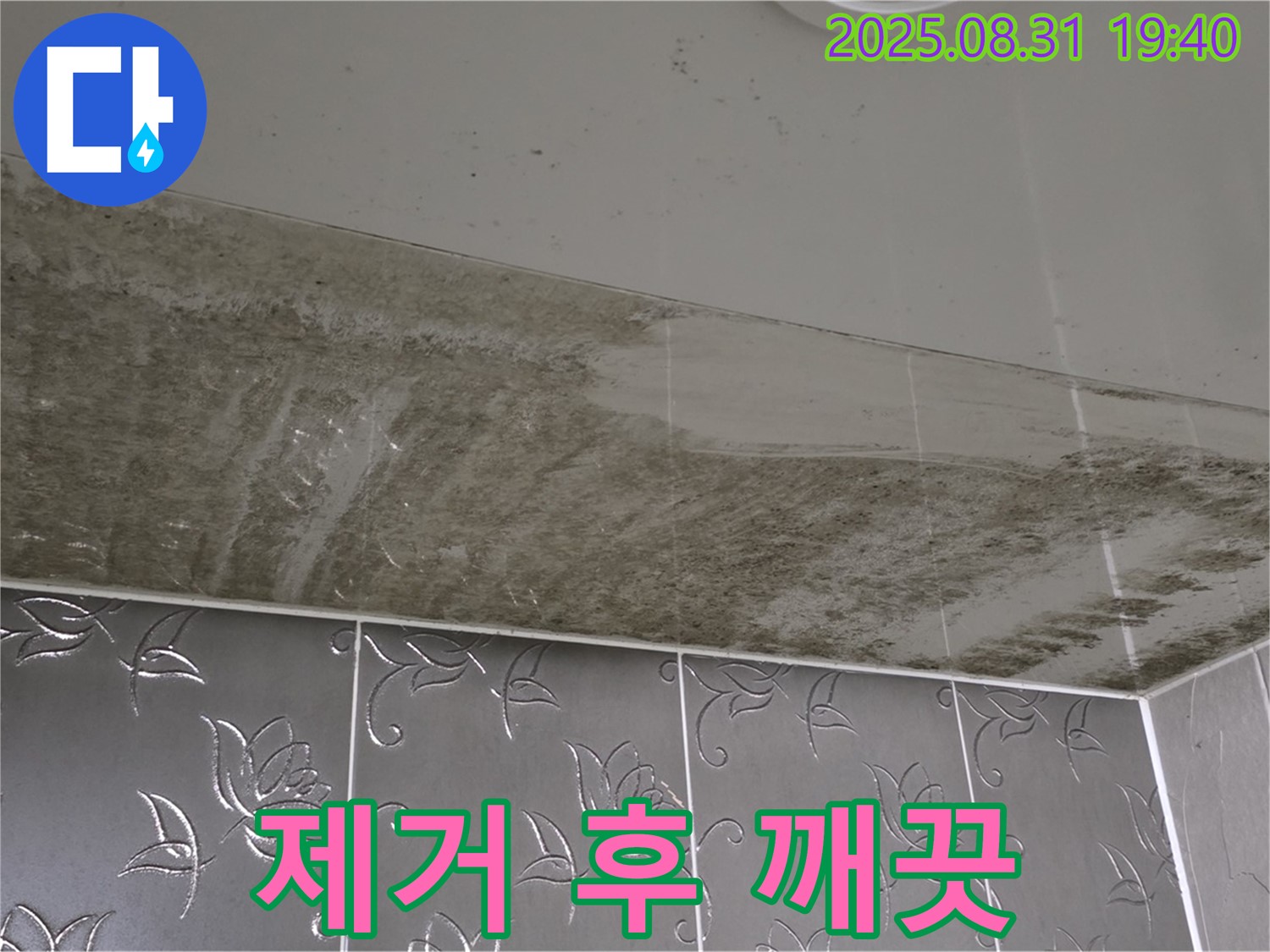 분당구 산운로 욕실 - 곰팡이 제거 후 깨끗한 모습 비교