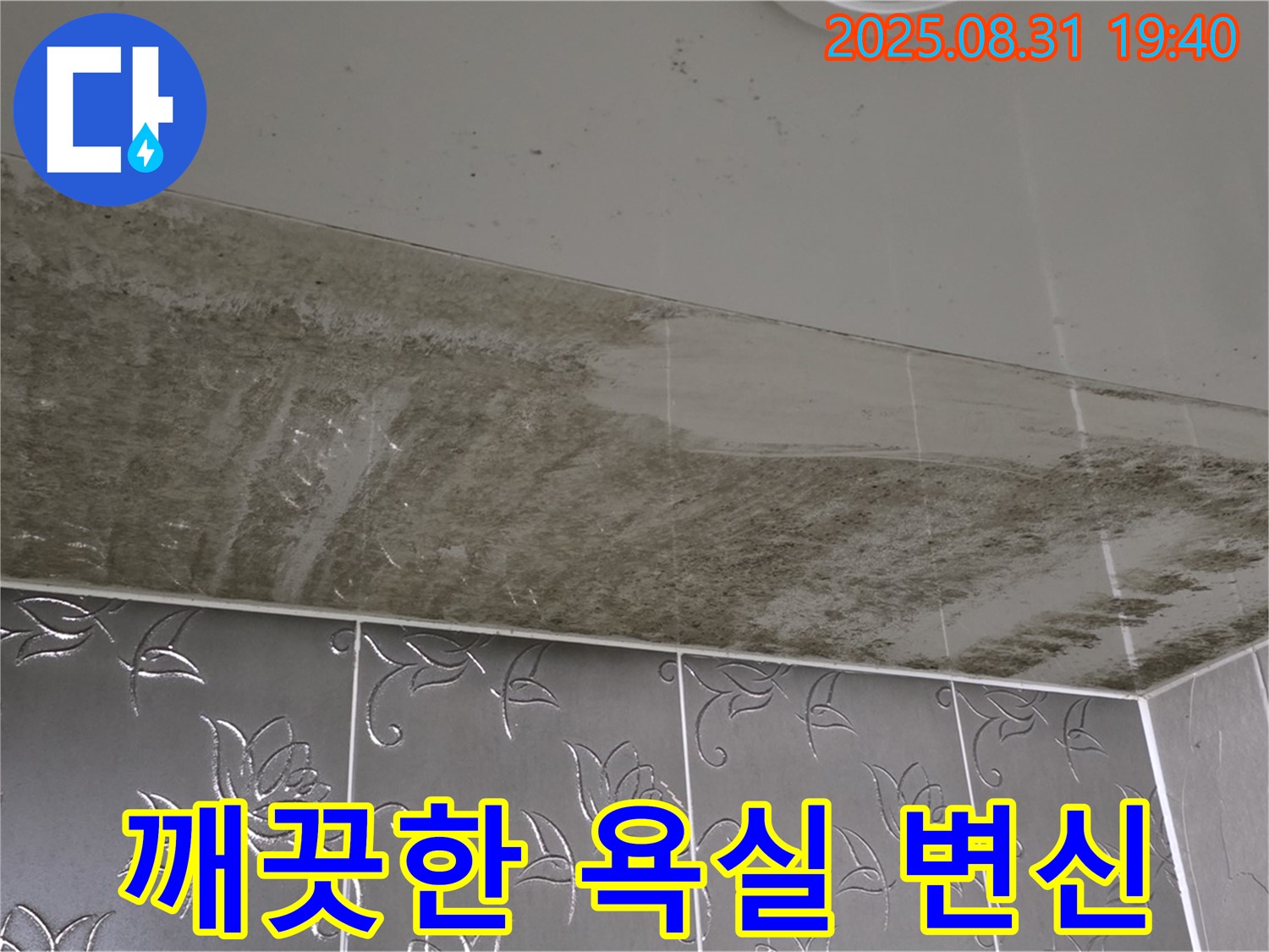 분당구 산운로 욕실 - 누수와 곰팡이 해결 후 깨끗해진 모습