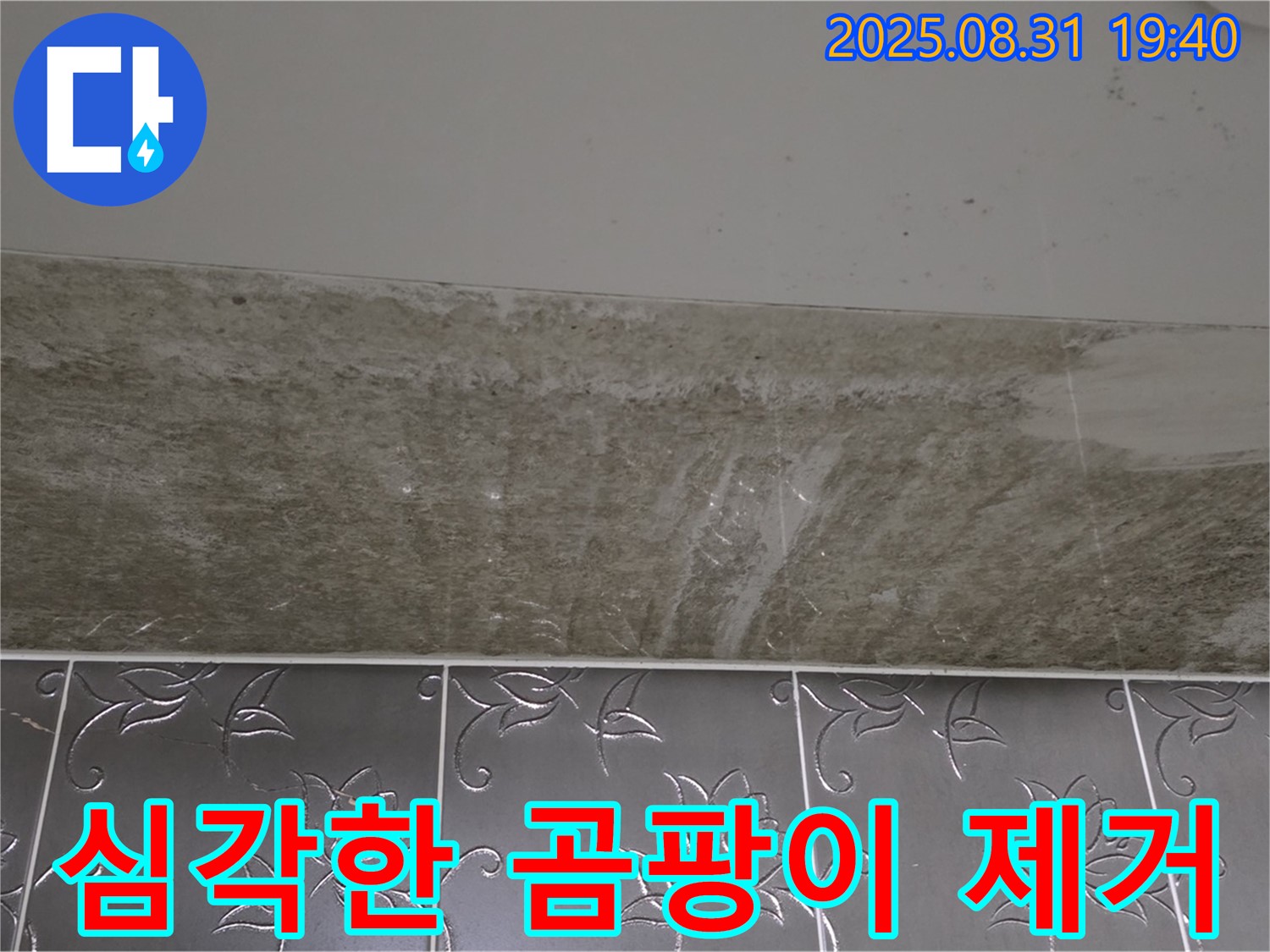 분당구 산운로 욕실 - 심각한 곰팡이 완벽 제거 및 재발 방지