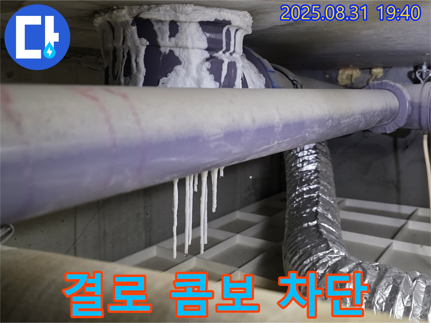 분당구 산운리 결로 누수 - 석회수 누수, 곰팡이 악취 콤보 긴급 차단 작전 - 쾌적한 환경